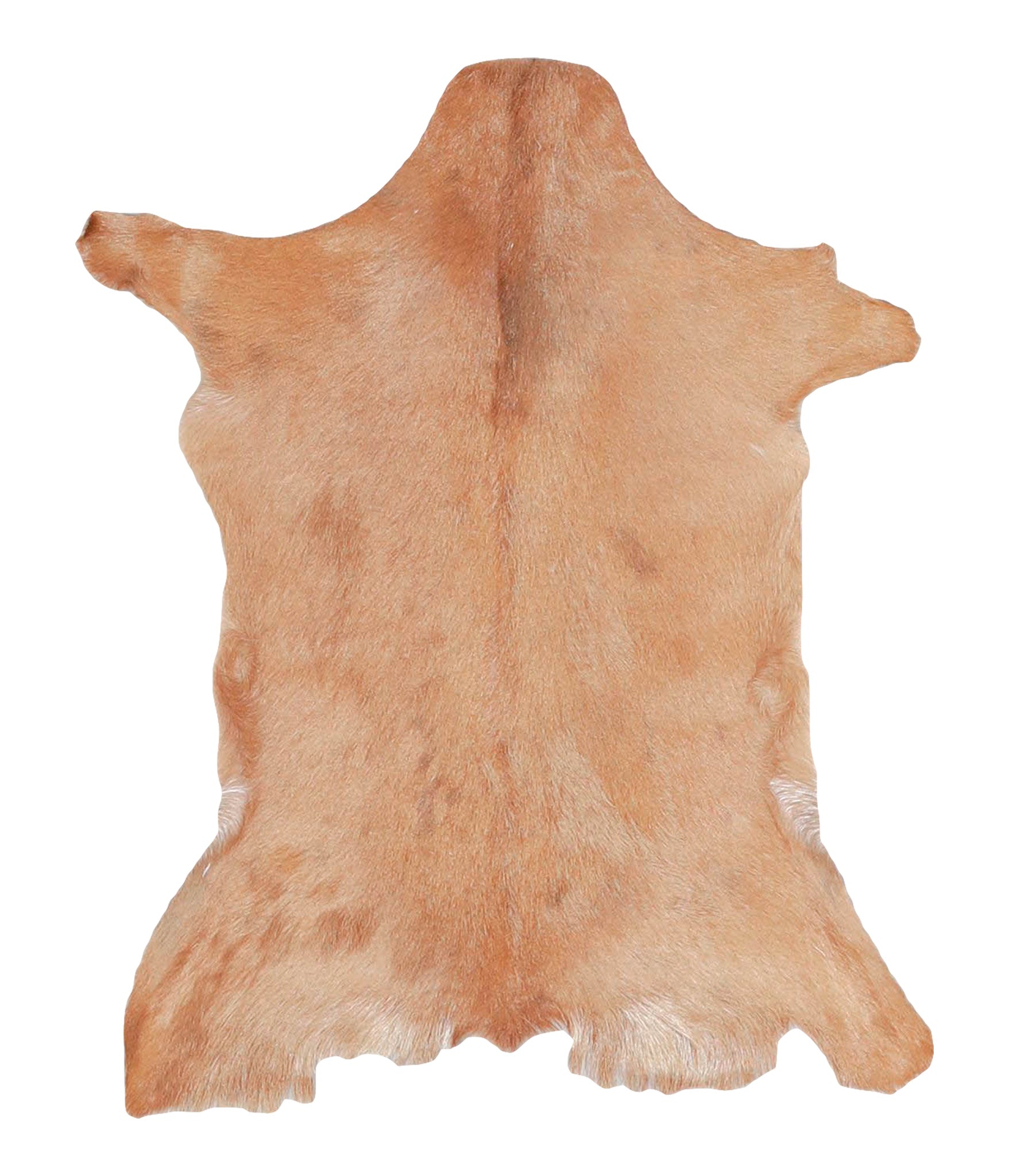 Goatskin #A27799