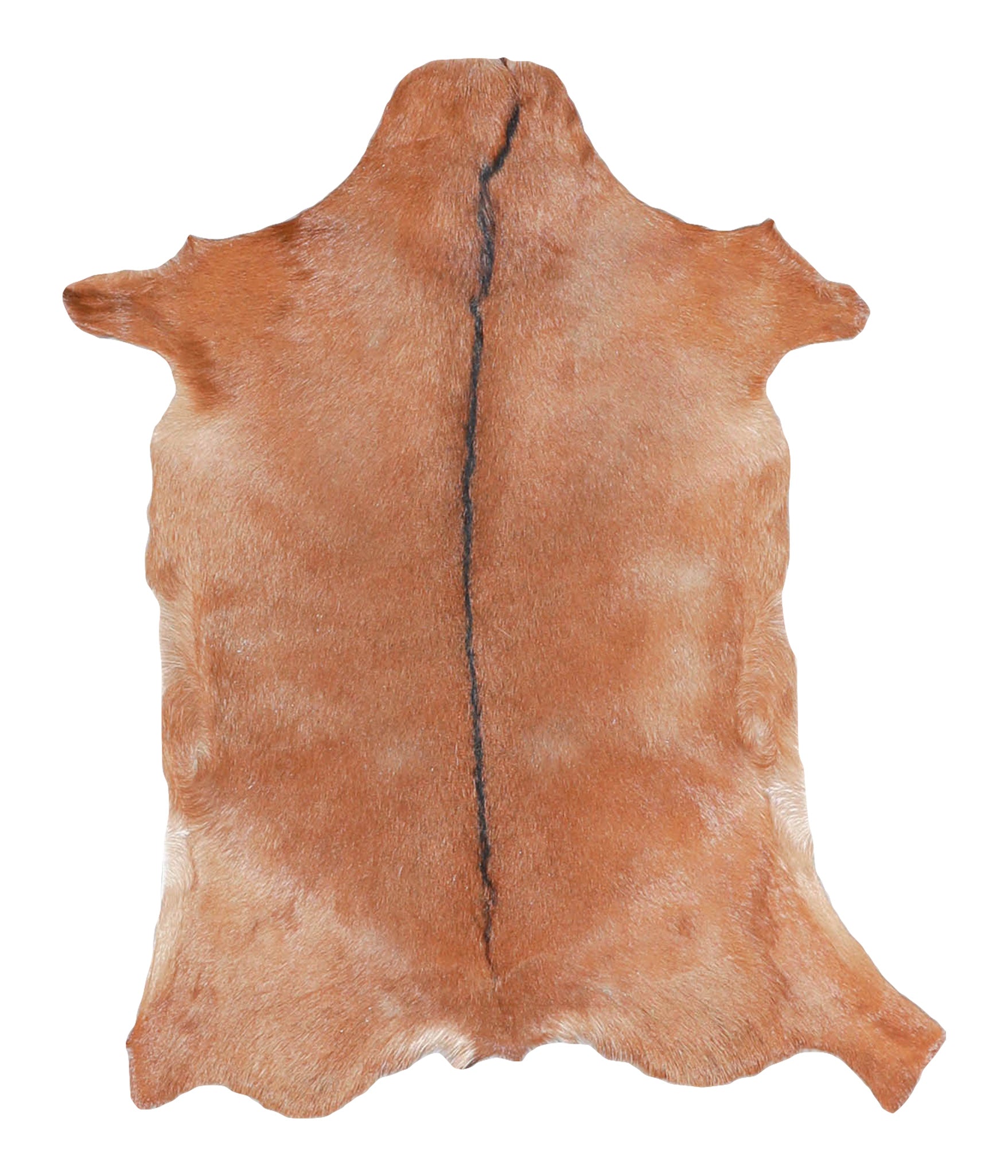 Goatskin #A27800