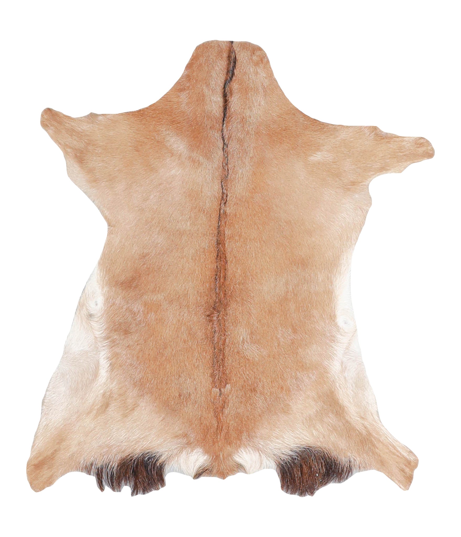 Goatskin #A27802