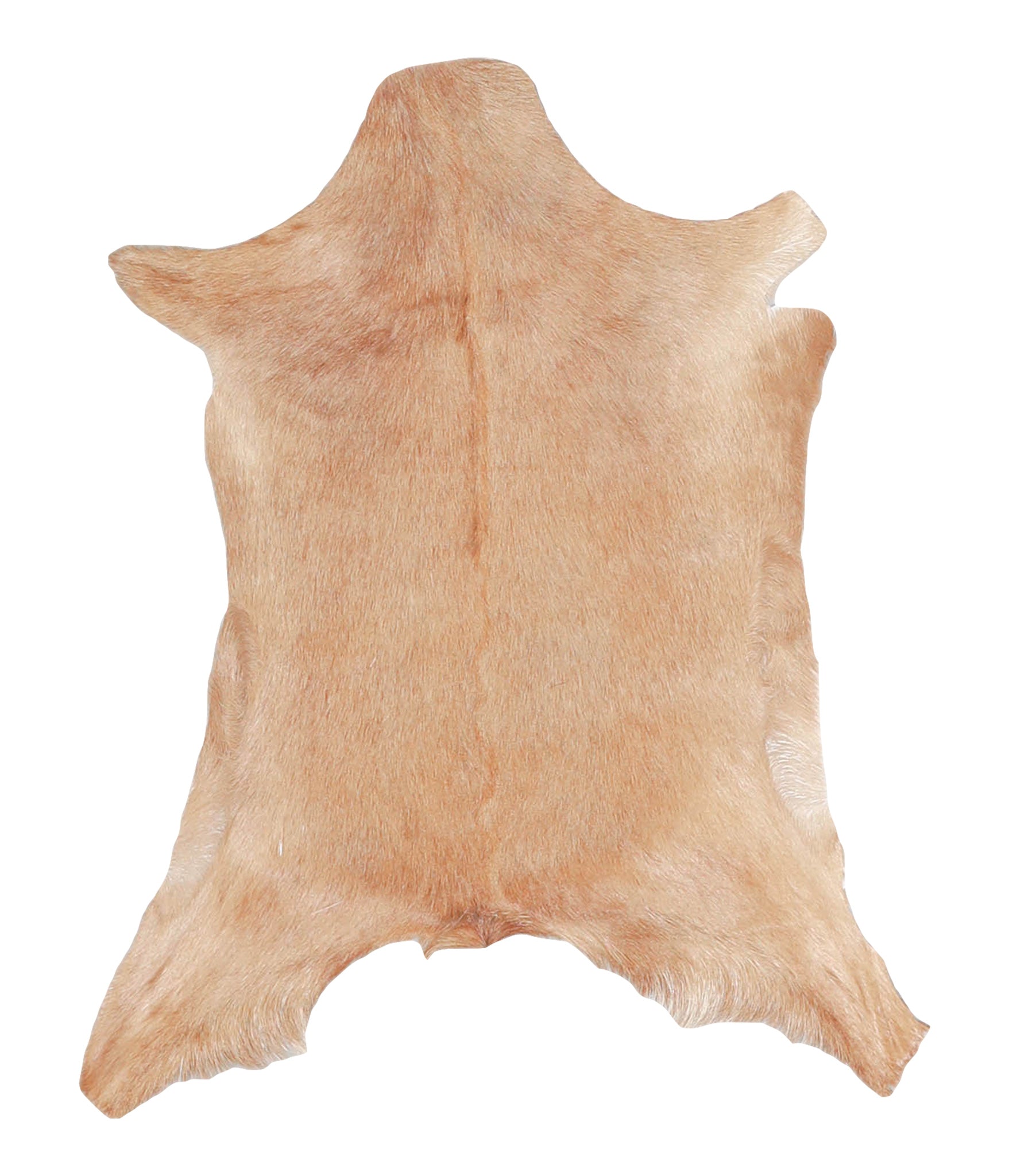 Goatskin #A27803