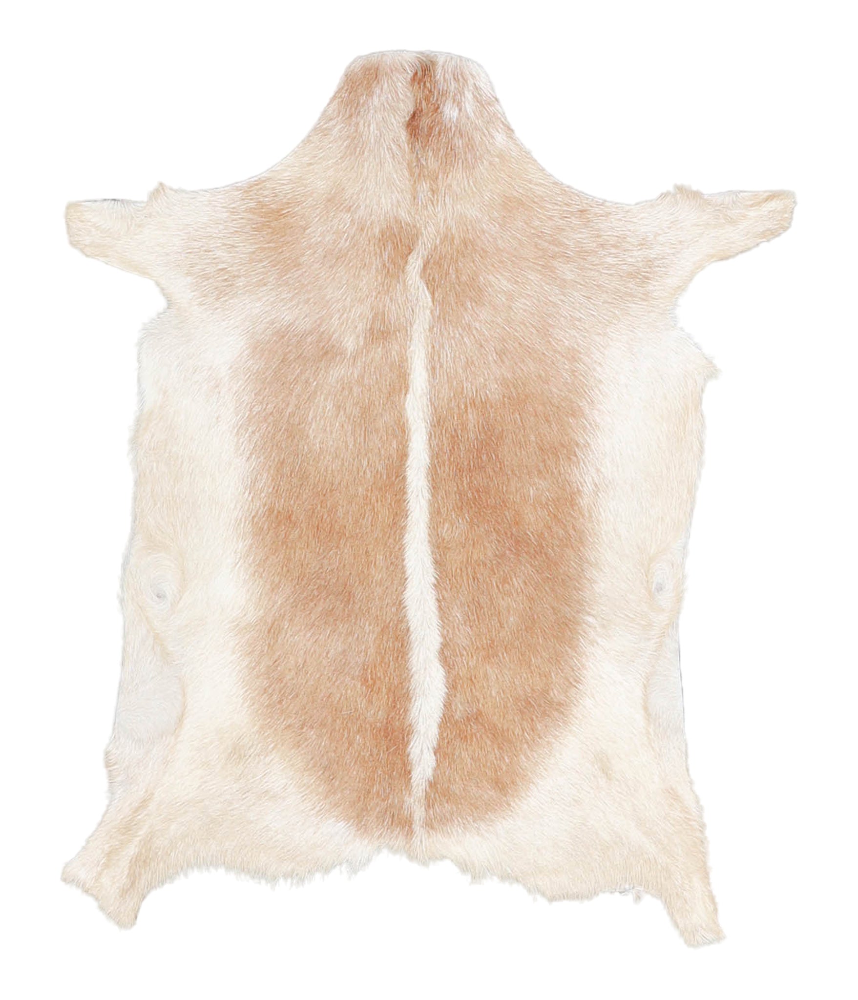 Goatskin #A27811