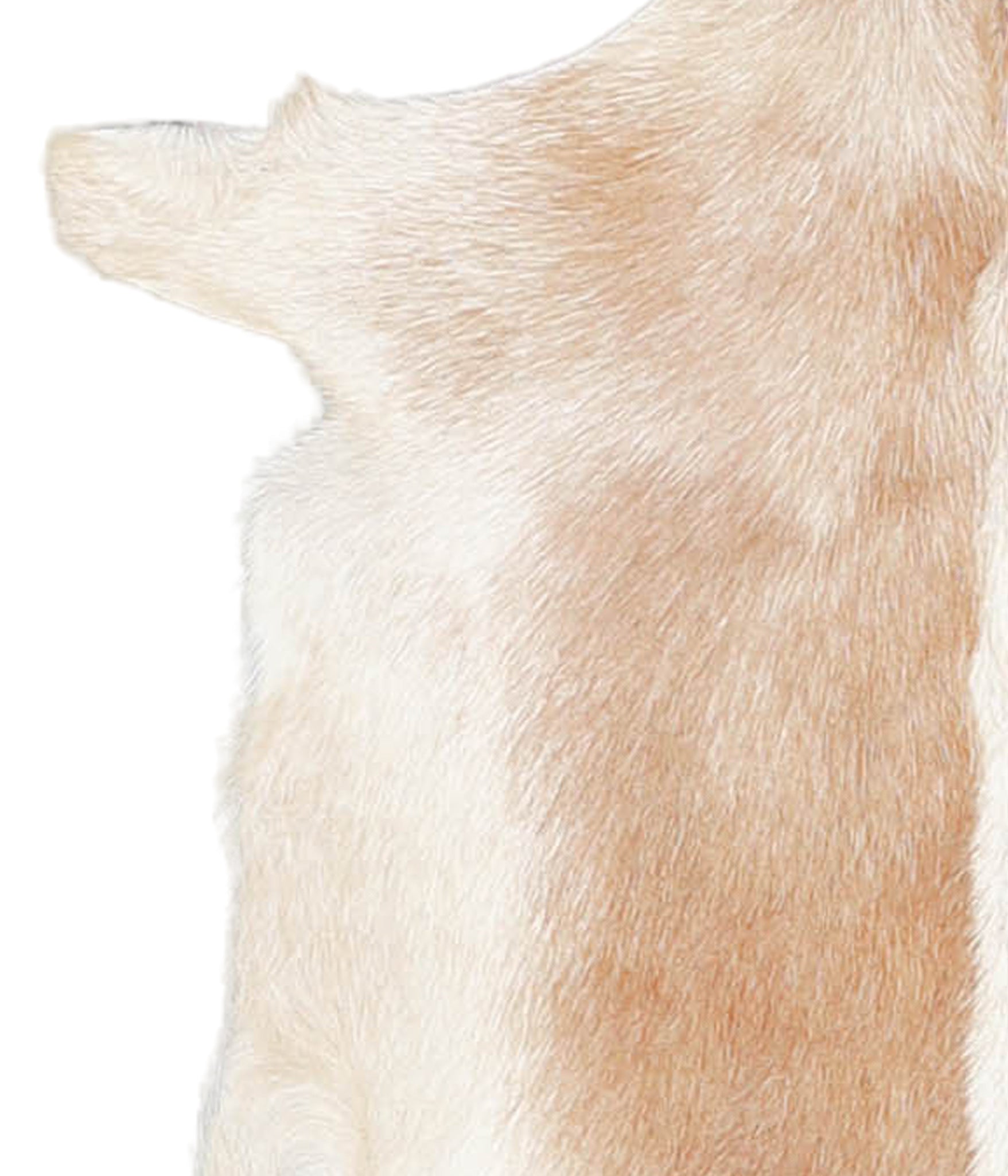 Goatskin #A27811