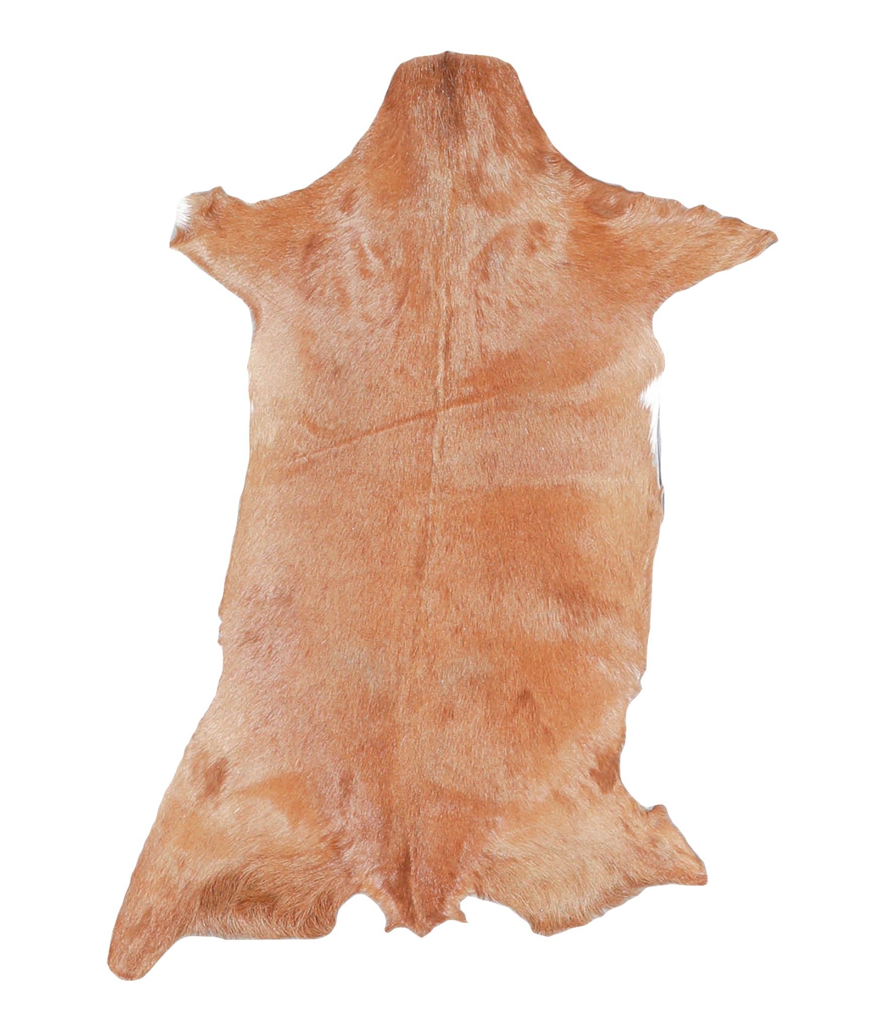 Goatskin #A27813