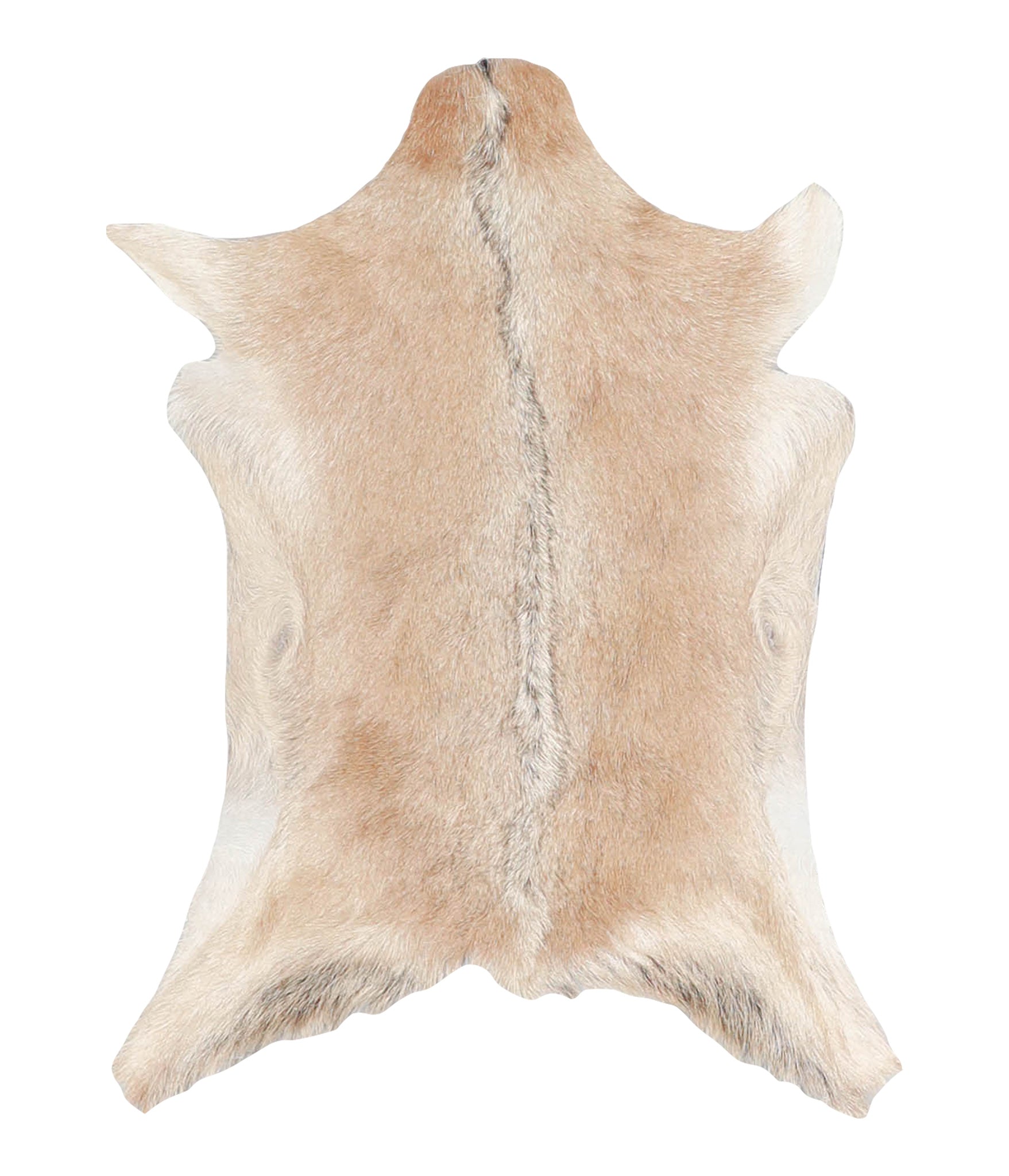 Goatskin #A27814