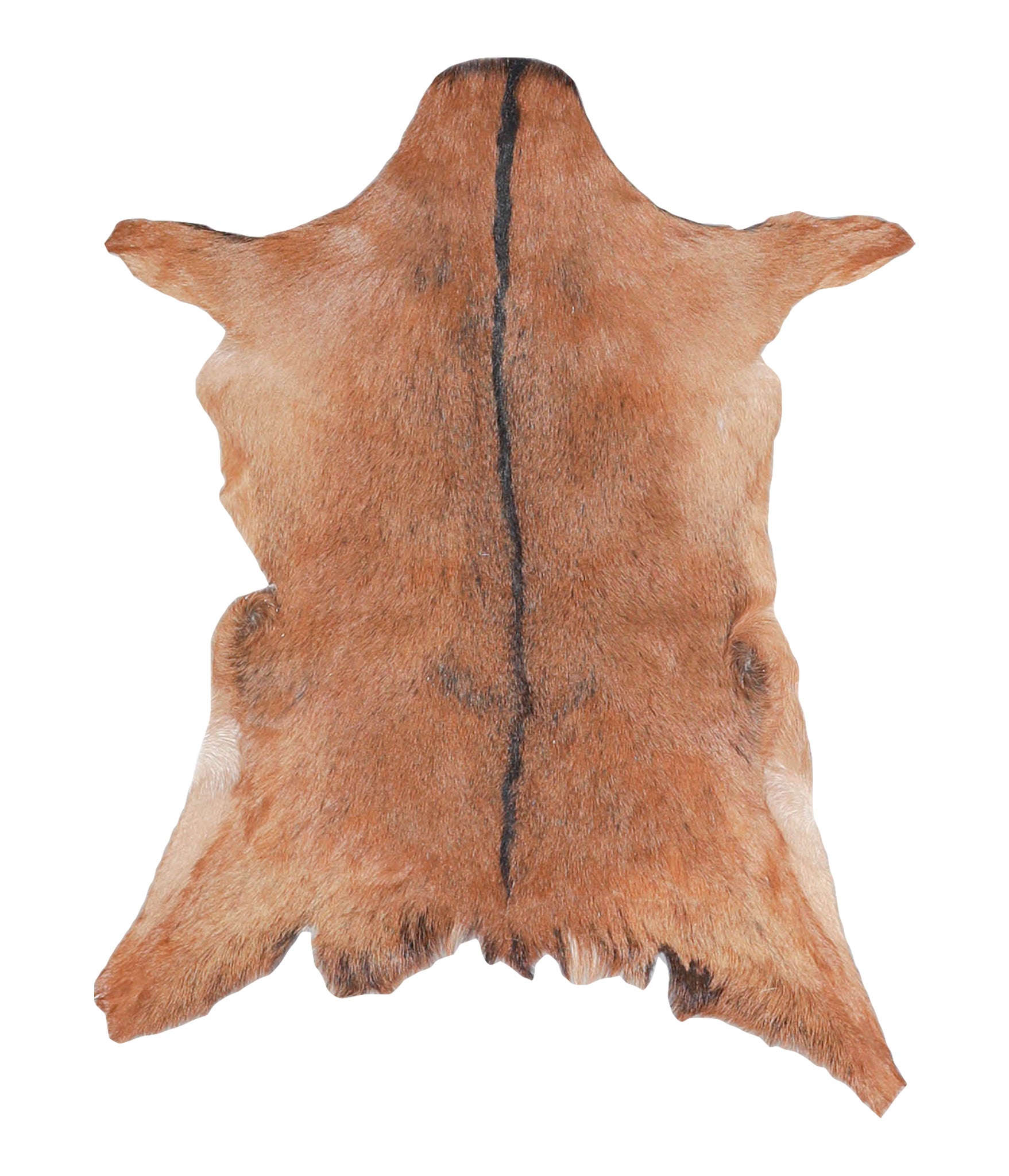 Goatskin #A27817