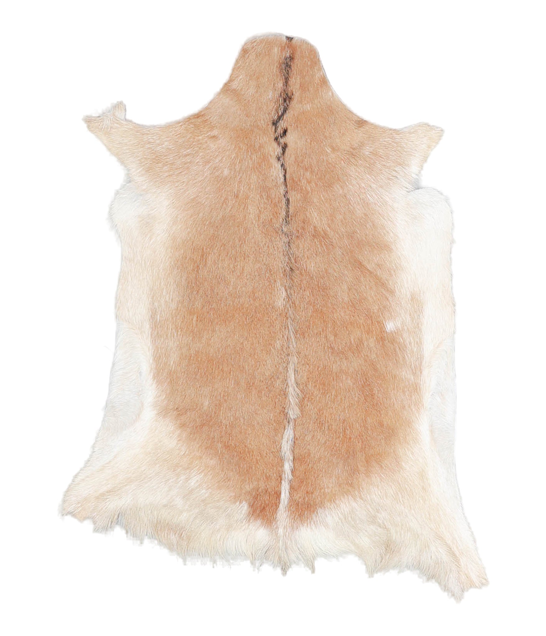 Goatskin #A27818