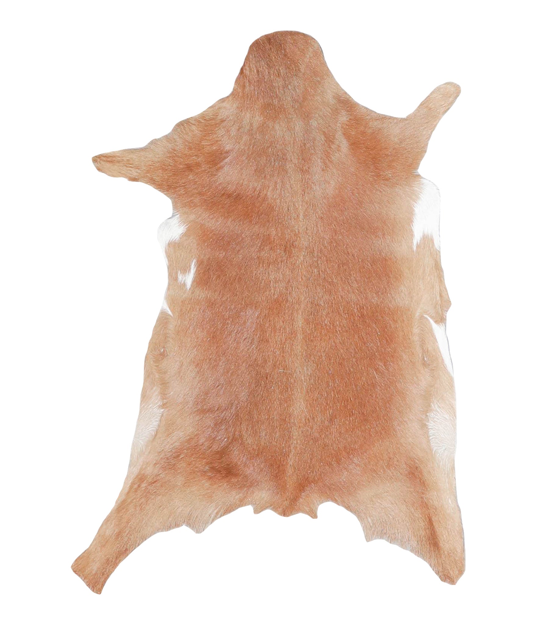 Goatskin #A27819