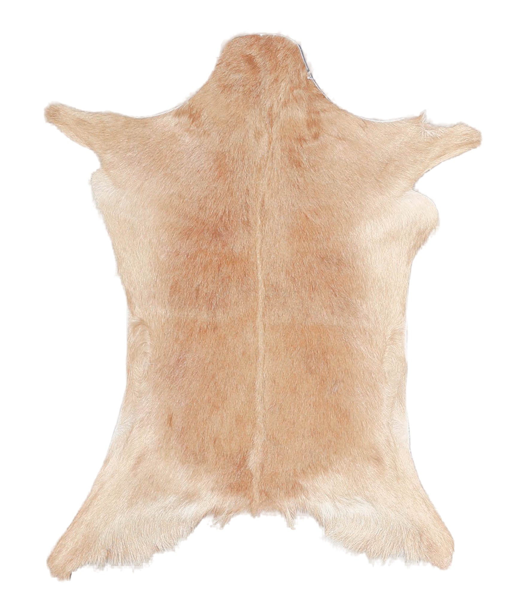 Goatskin #A27820