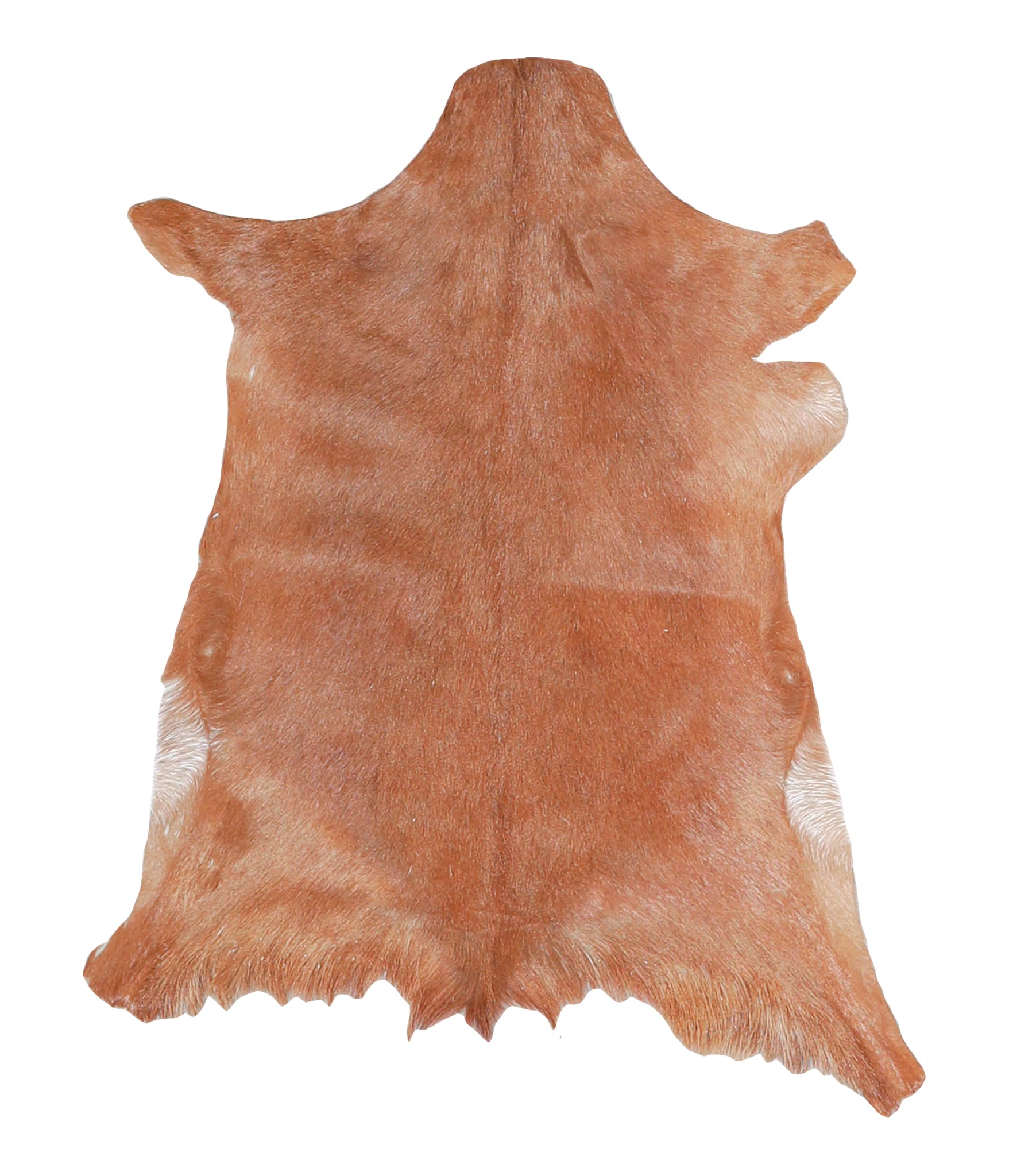 Goatskin #A27821