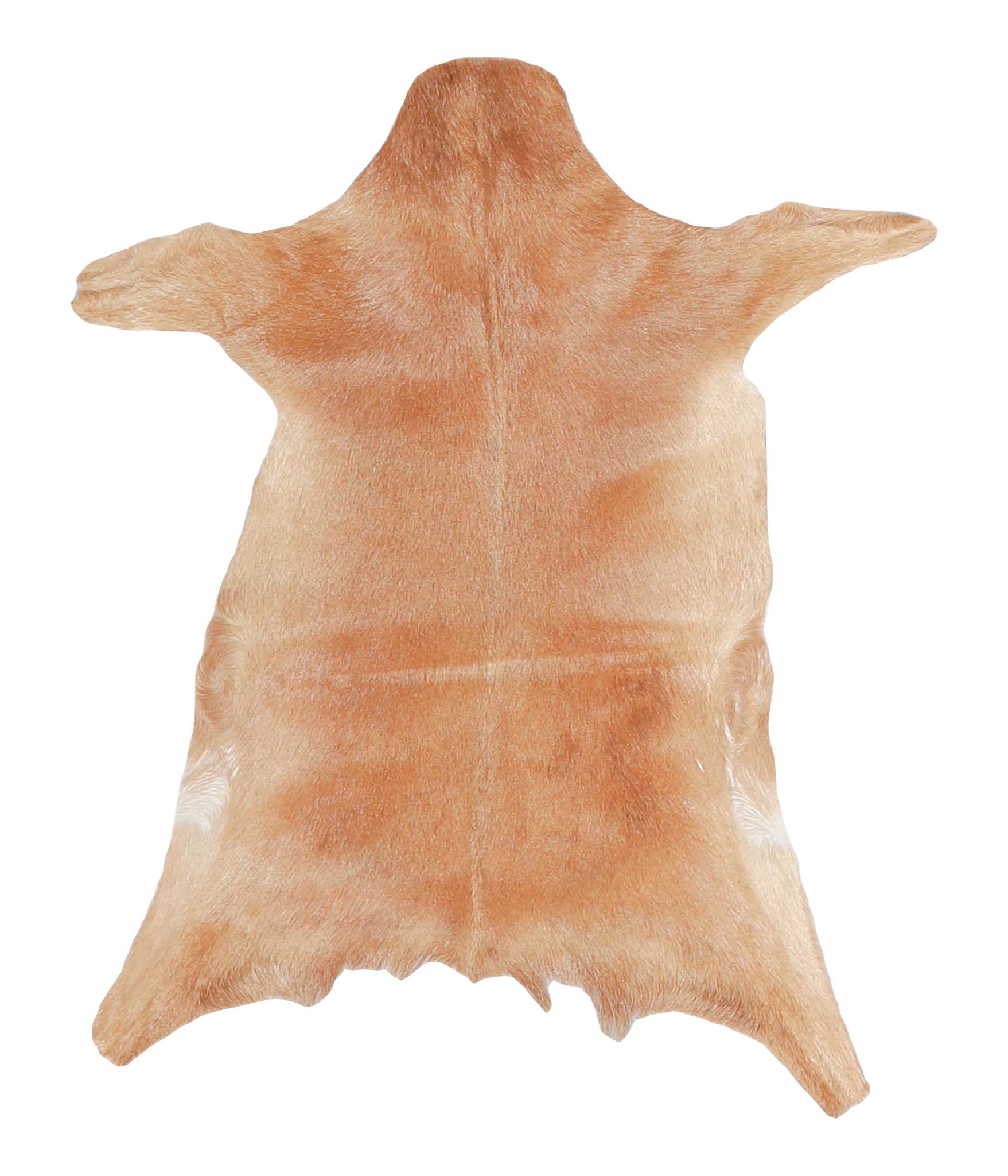 Goatskin #A27824