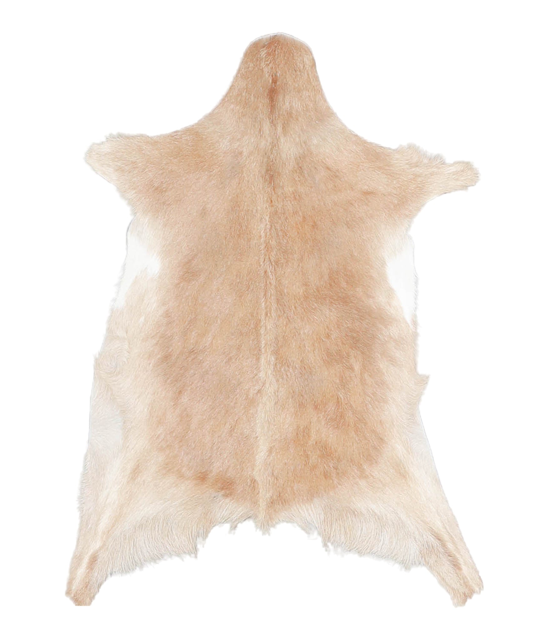 Goatskin #A27826