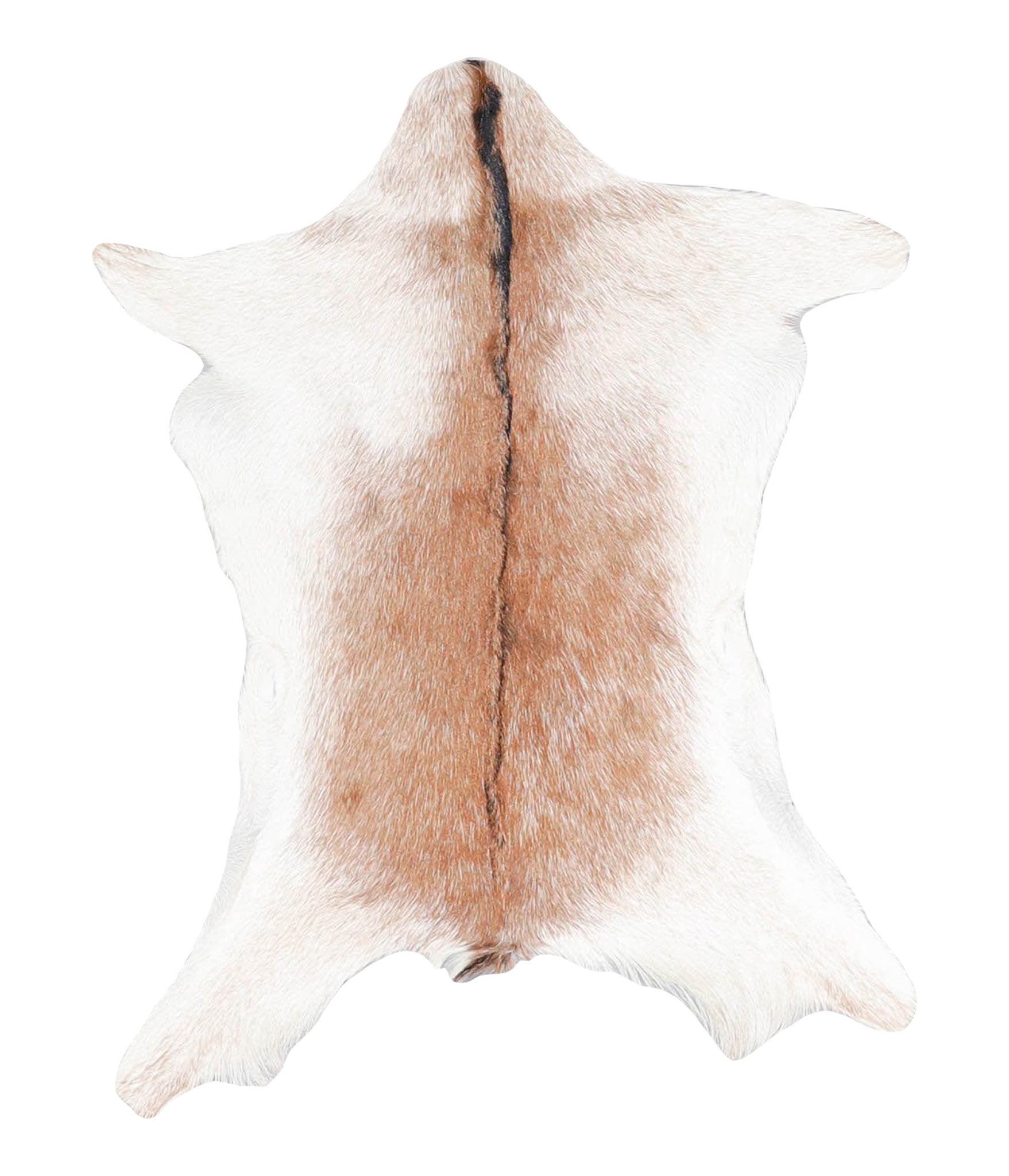 Goatskin #A27827