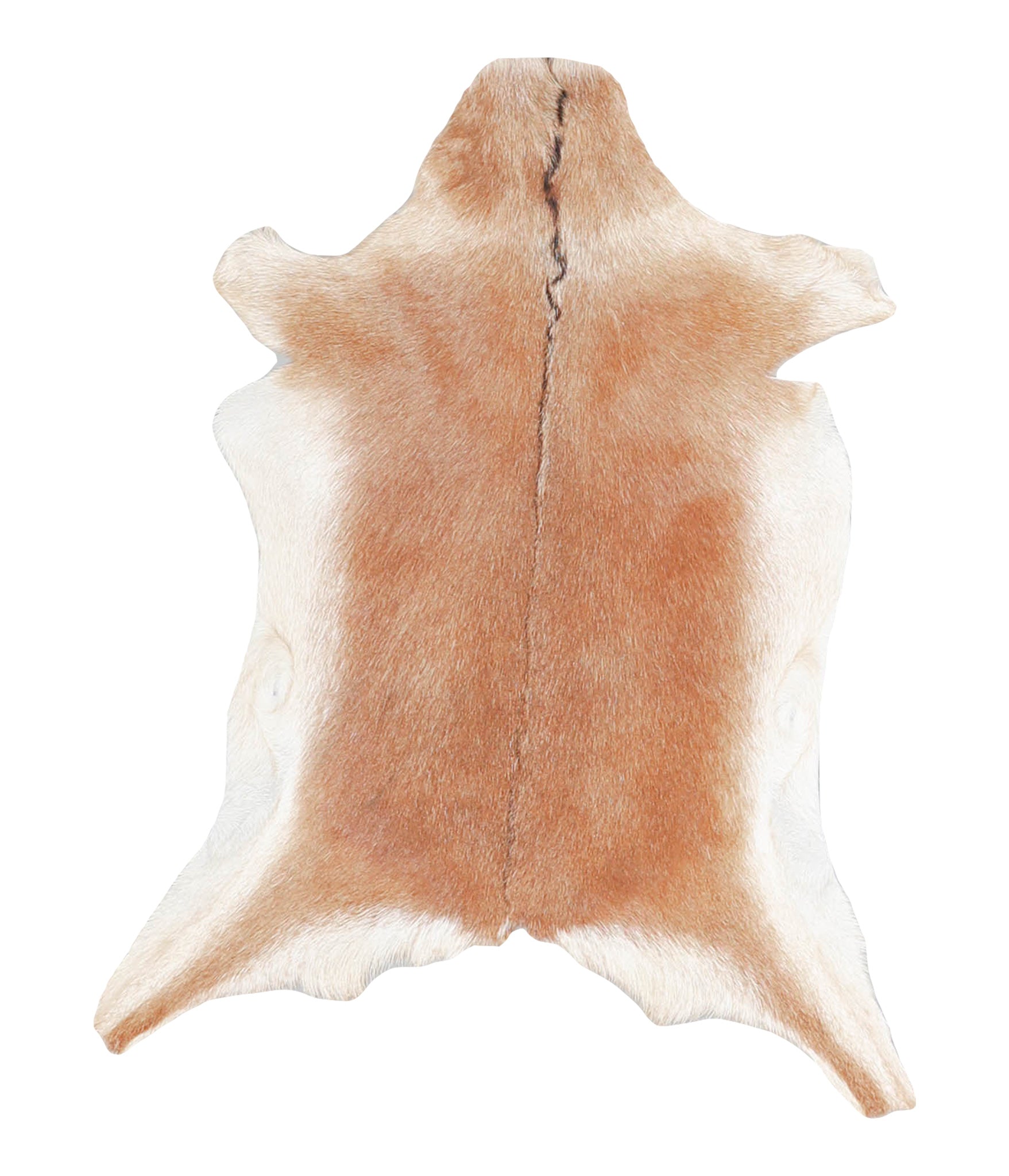 Goatskin #A27832