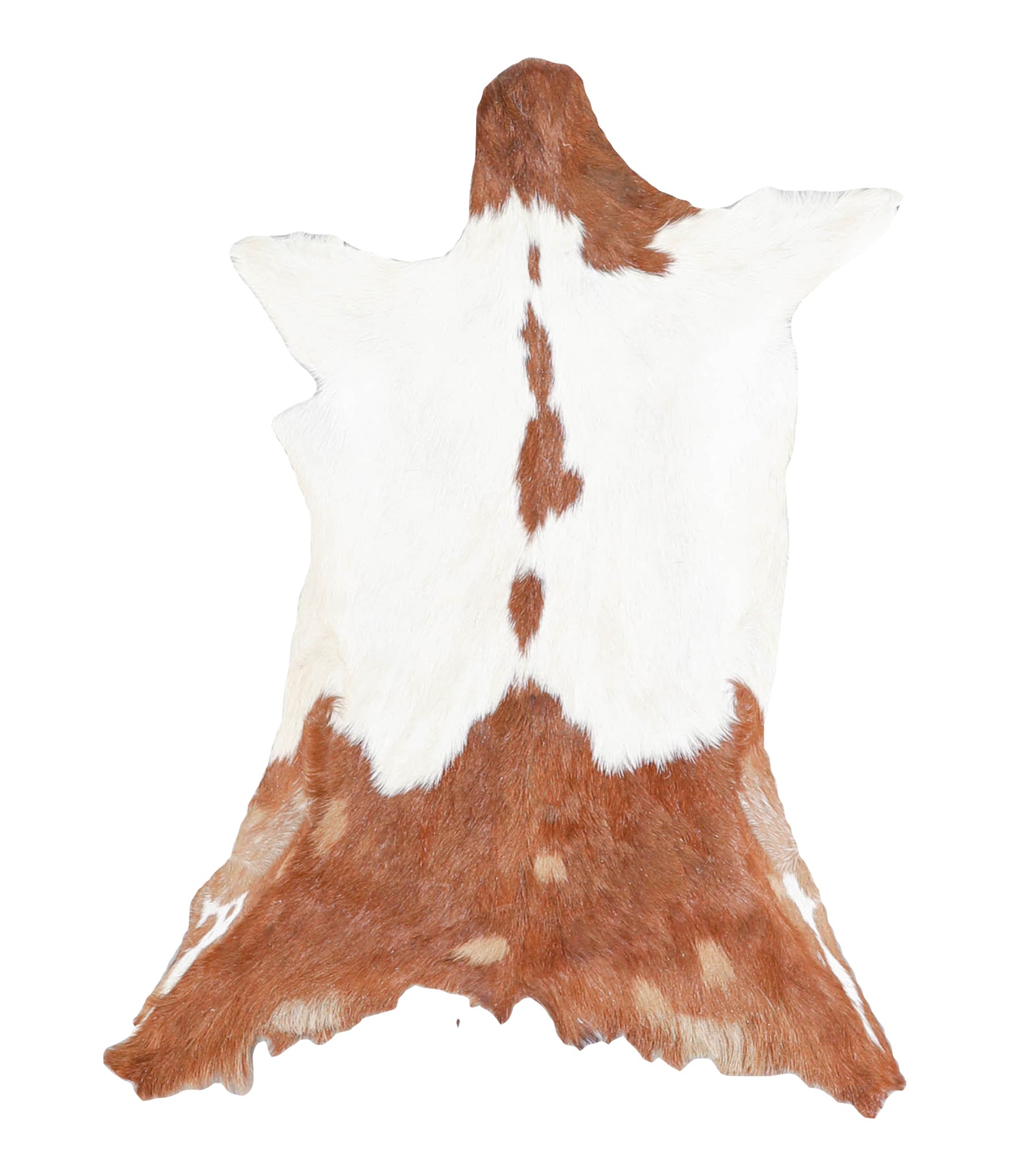 Goatskin #A27843