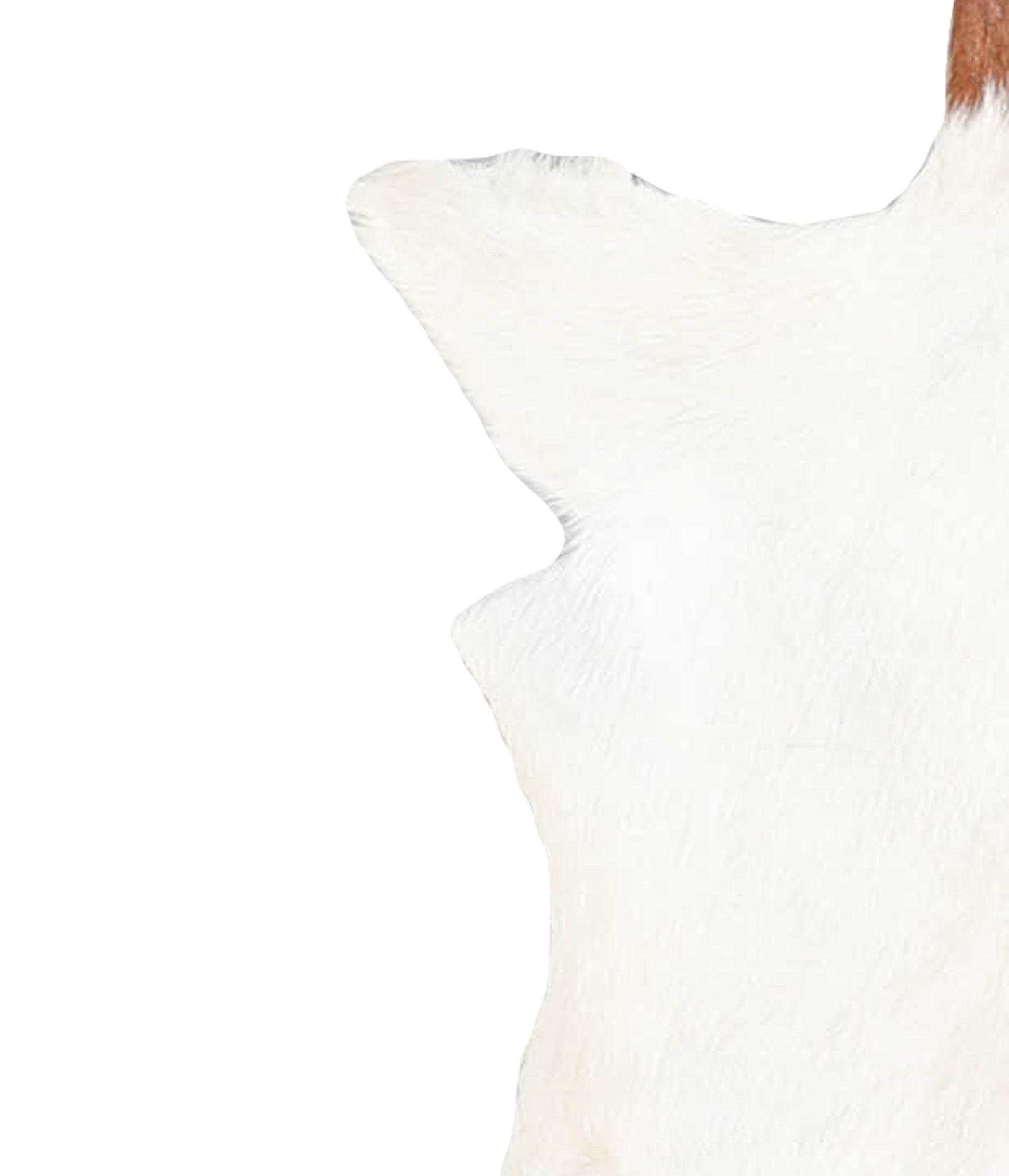 Goatskin #A27843