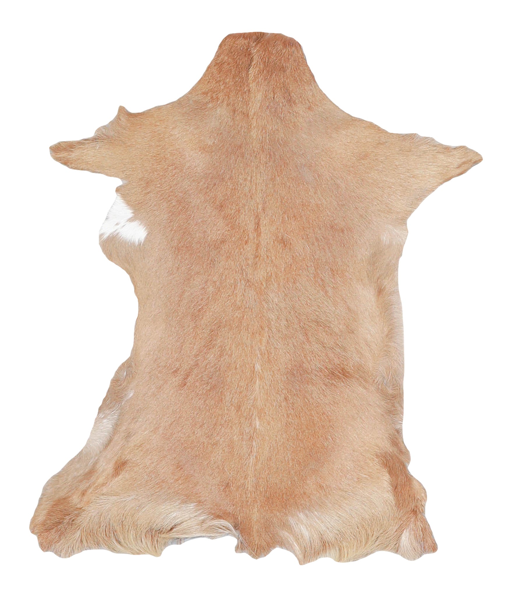 Goatskin #A27851