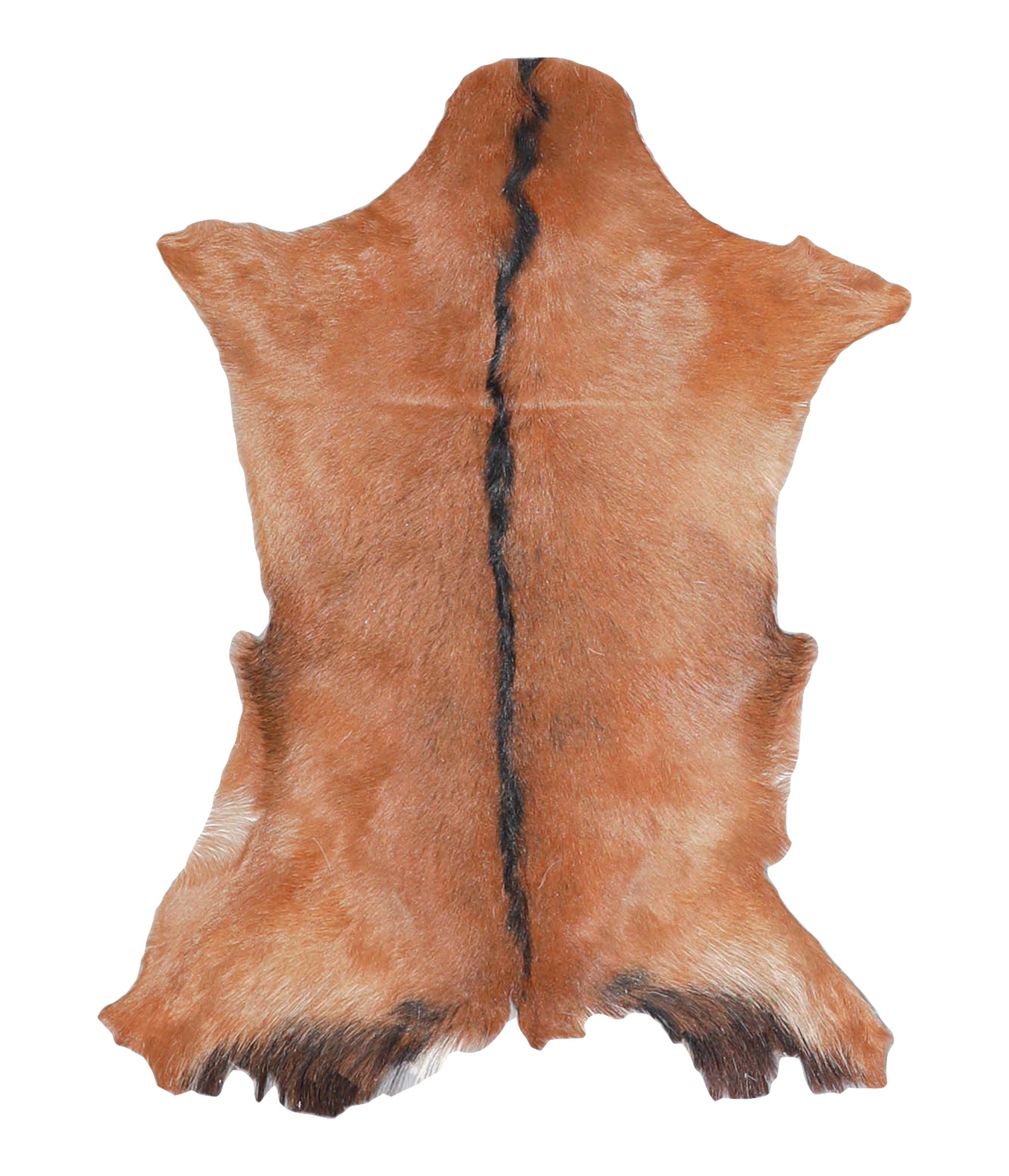 Goatskin #A27853