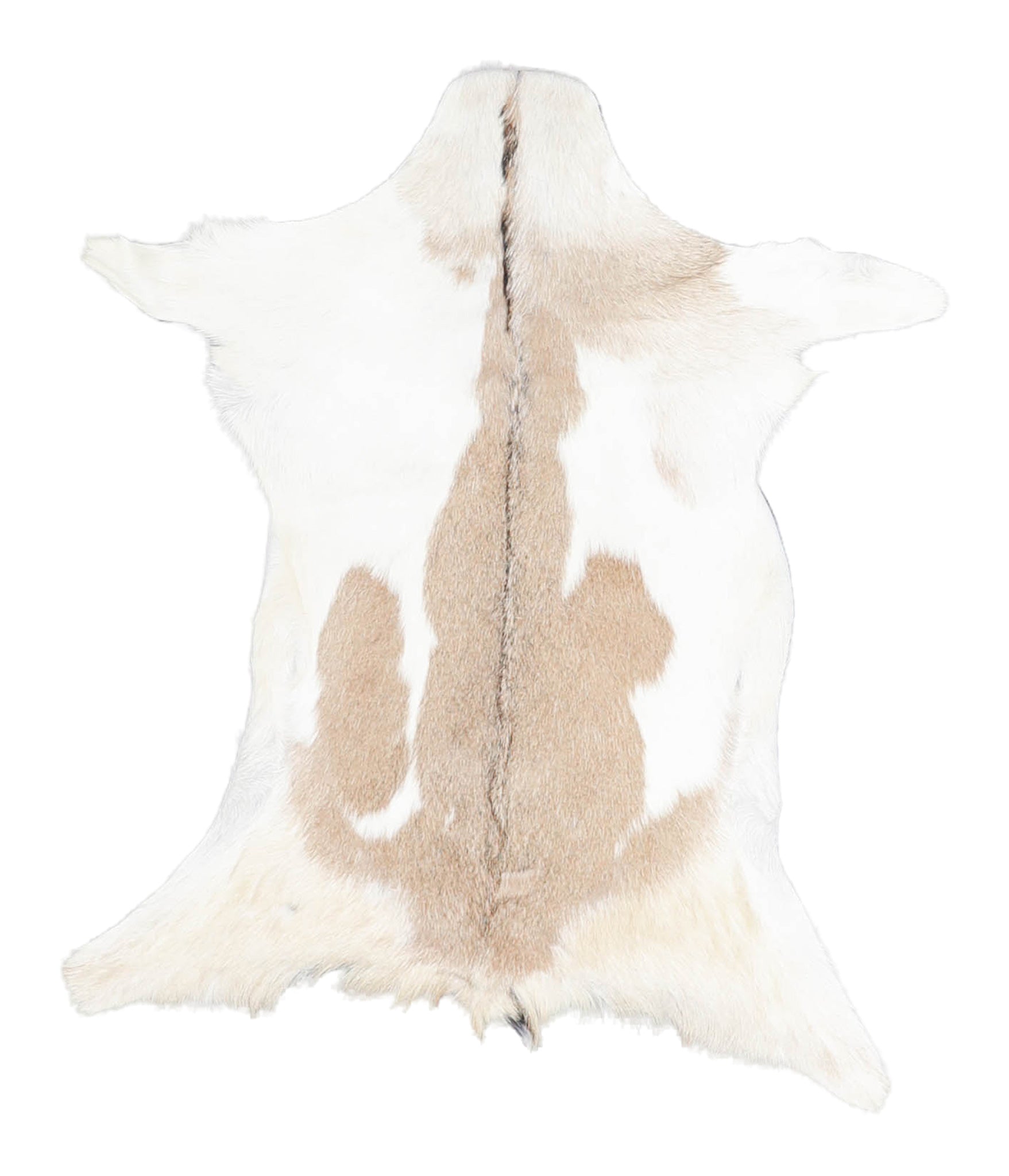 Goatskin #A27857