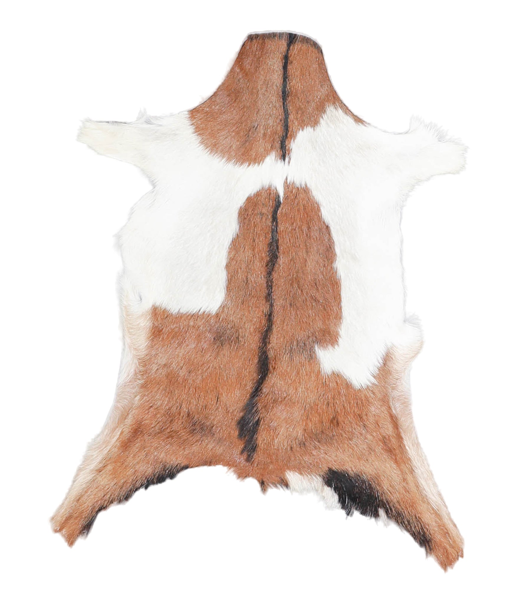 Goatskin #A27864