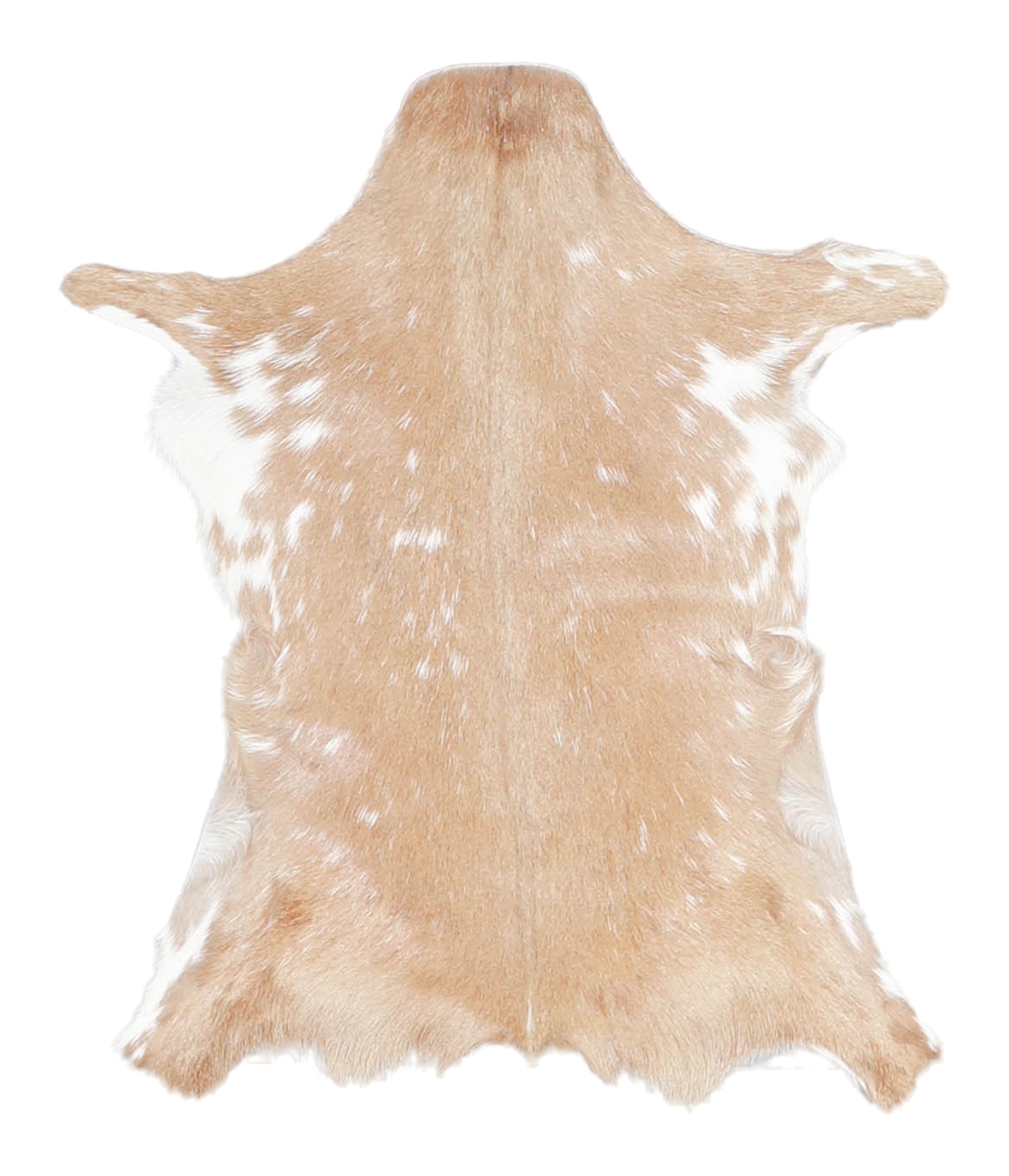 Goatskin #A27866