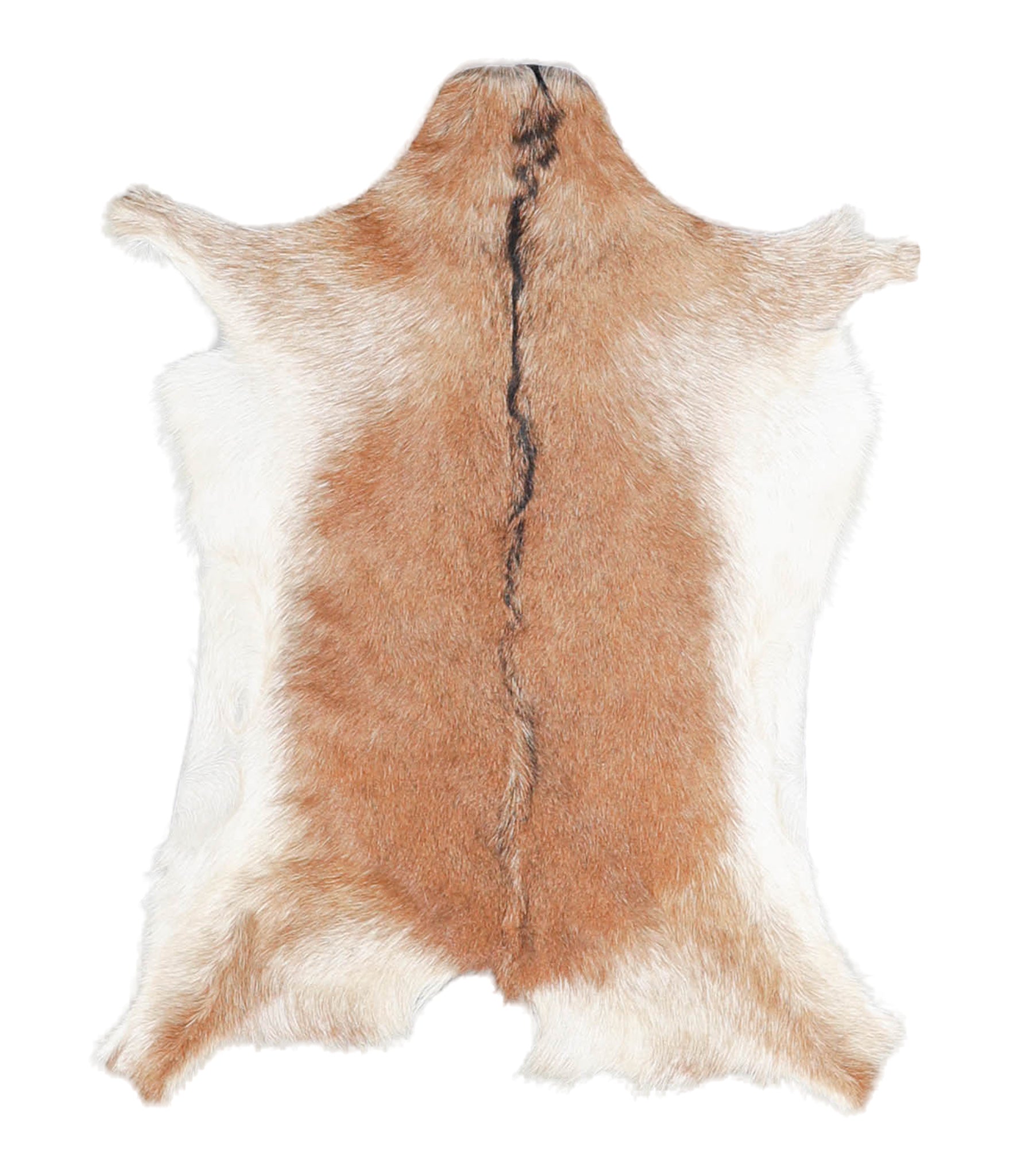 Goatskin #A27873