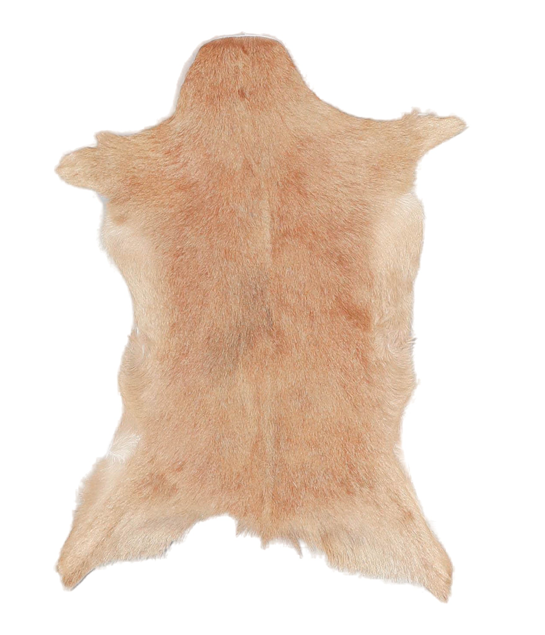 Goatskin #A27875