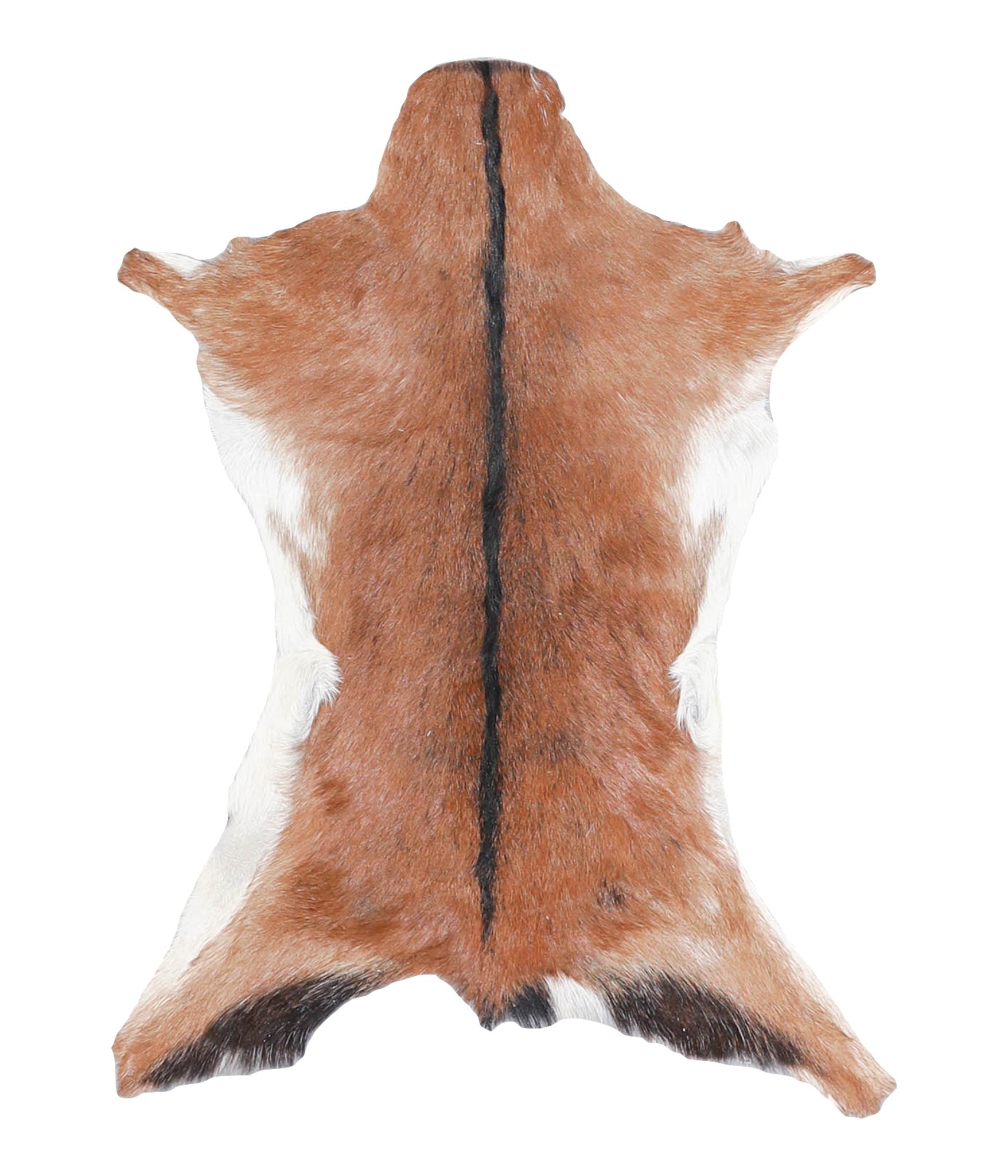 Goatskin #A27876