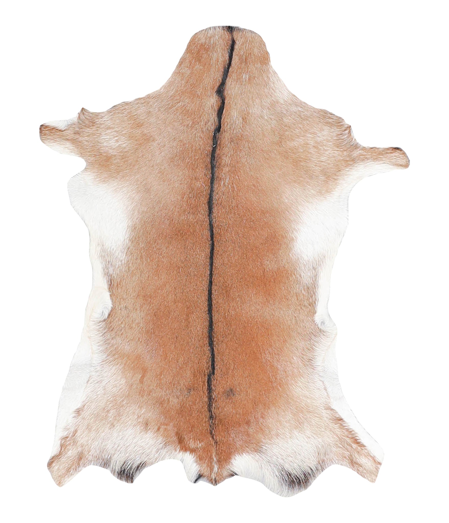 Goatskin #A27877