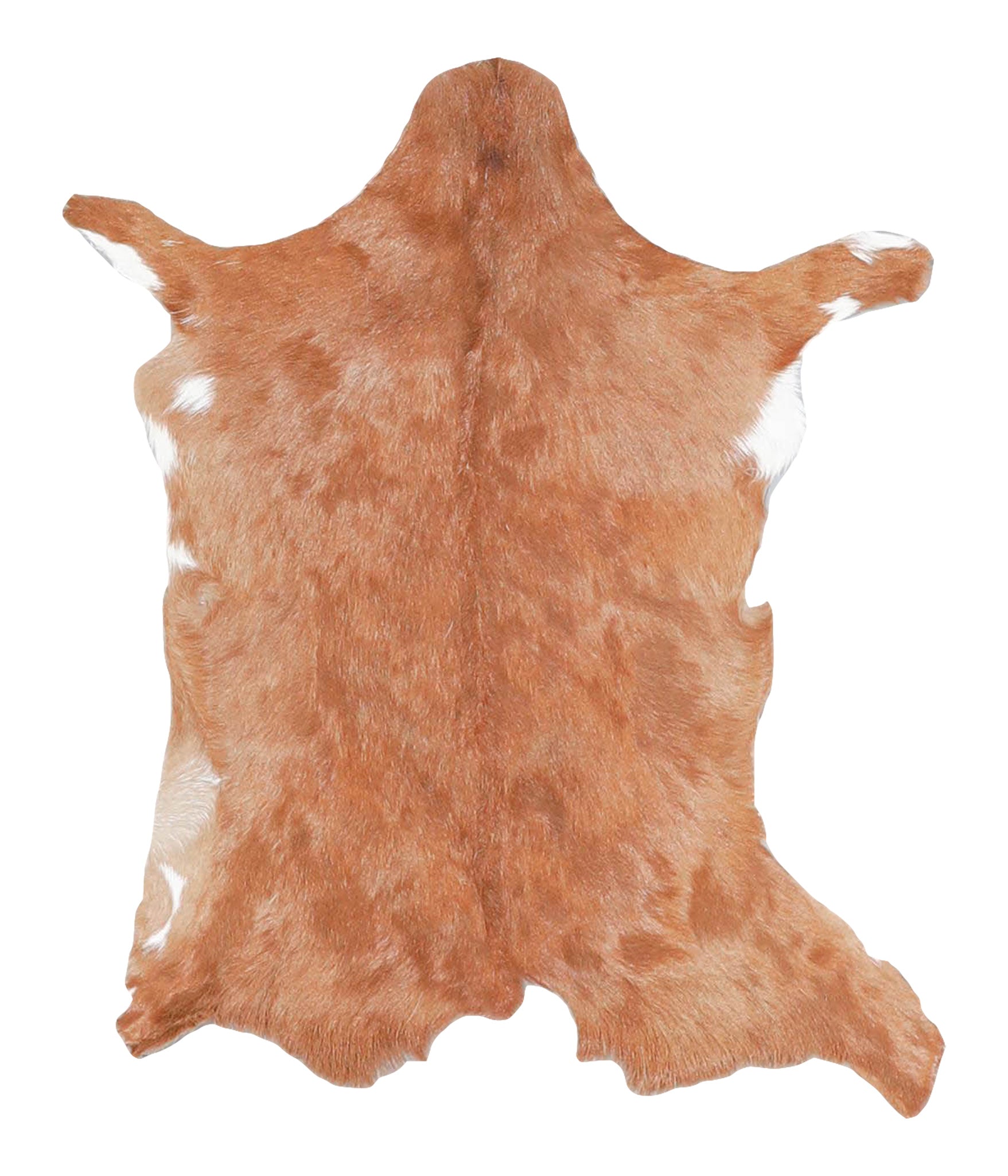 Goatskin #A27878