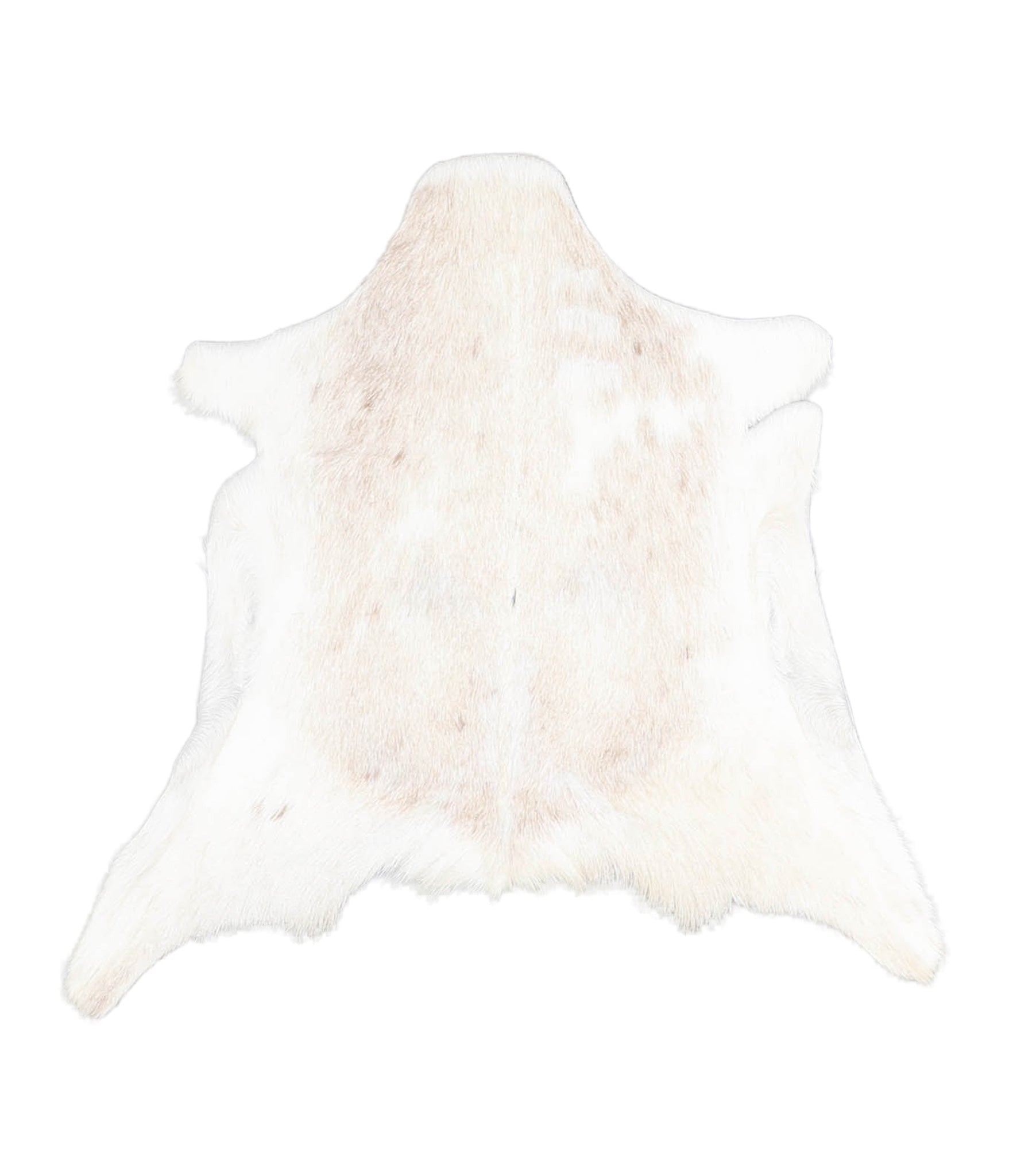 Goatskin #A27883