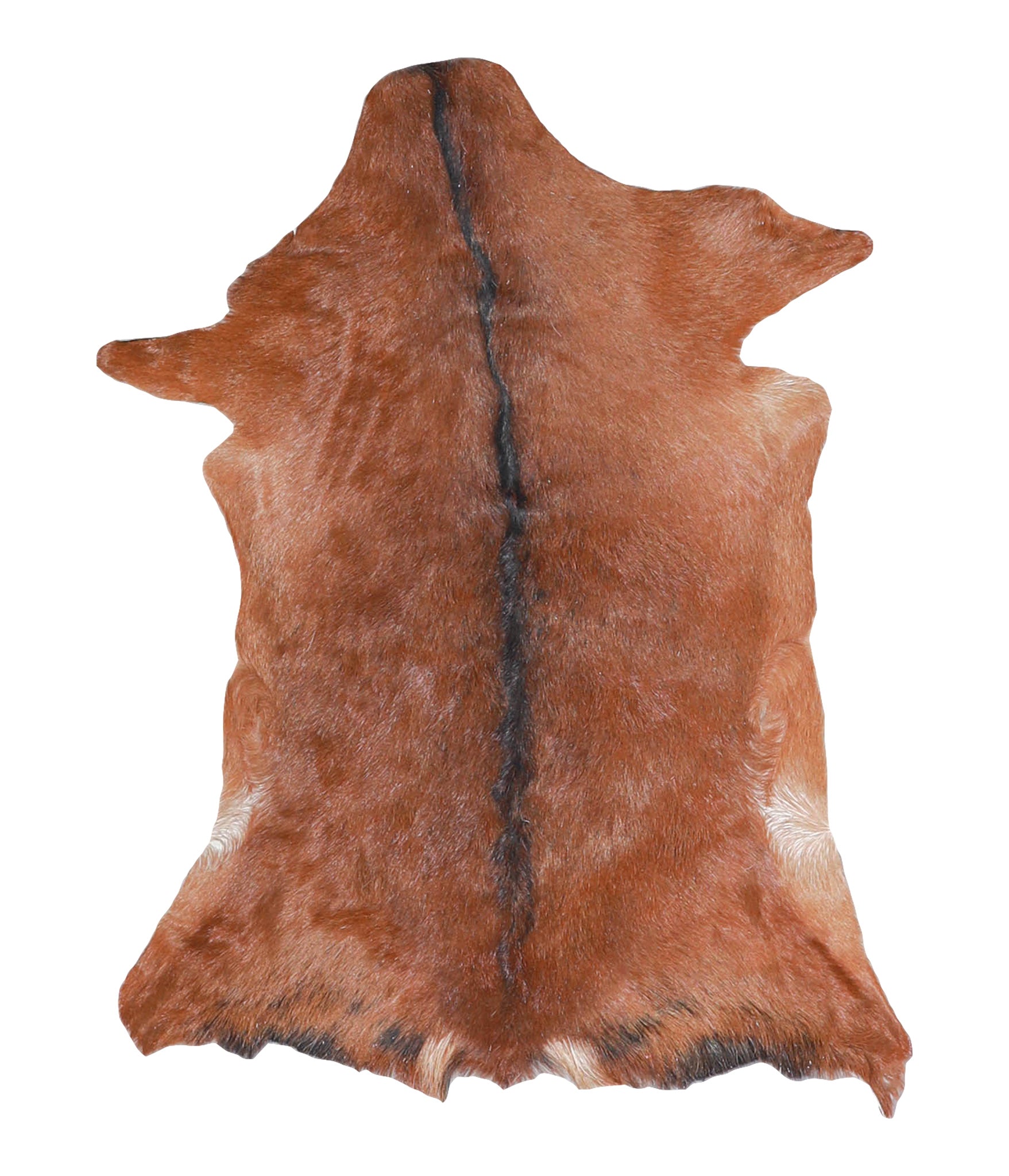 Goatskin #A27887