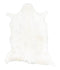 Goatskin Approx 2'3 #A27898 by Hudson Hides