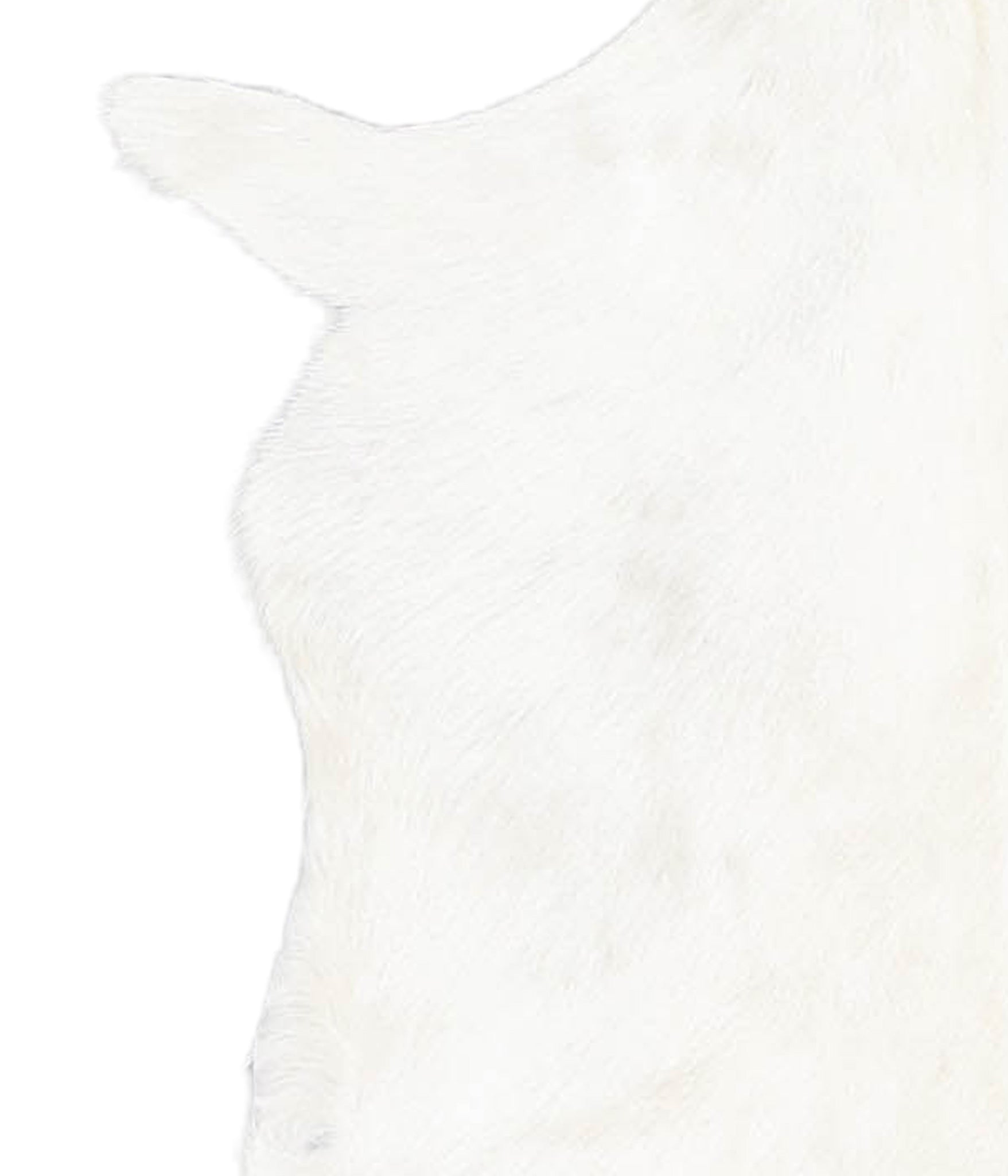 Goatskin #A27898