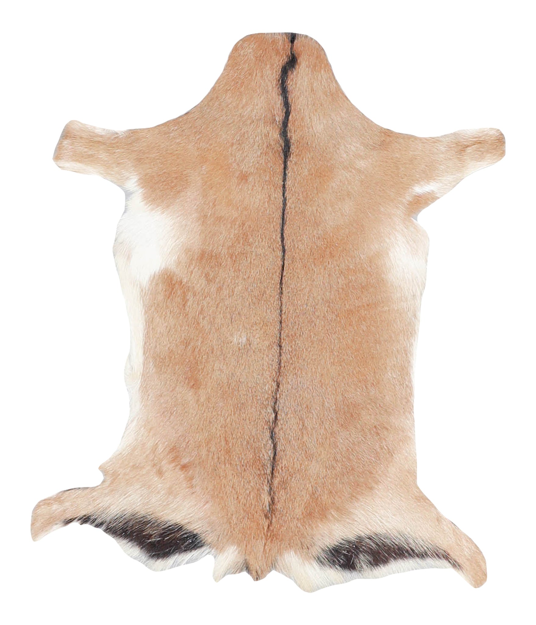 Goatskin #A27900