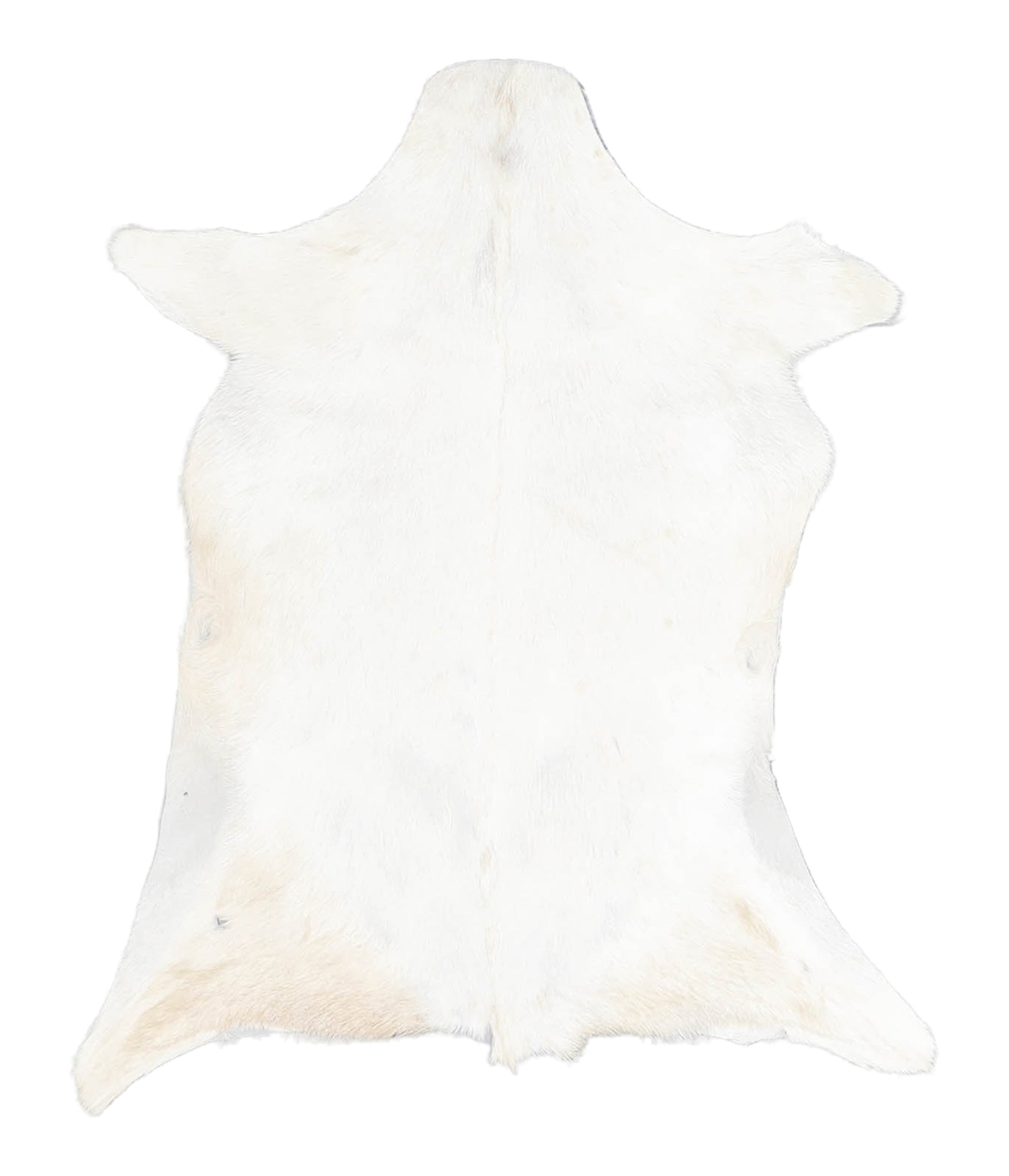 Goatskin #A27904