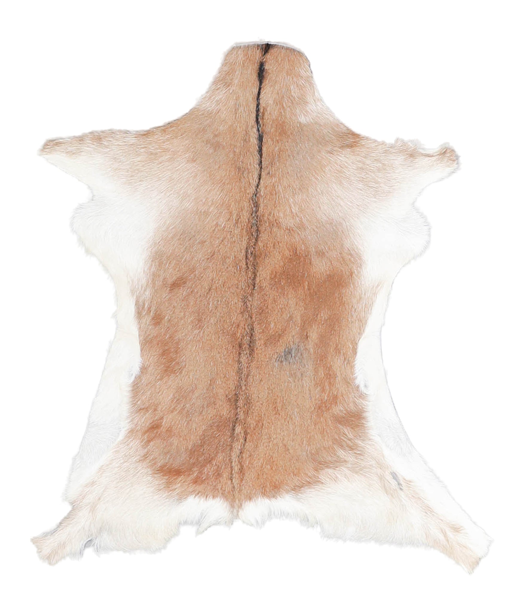 Goatskin #A27905