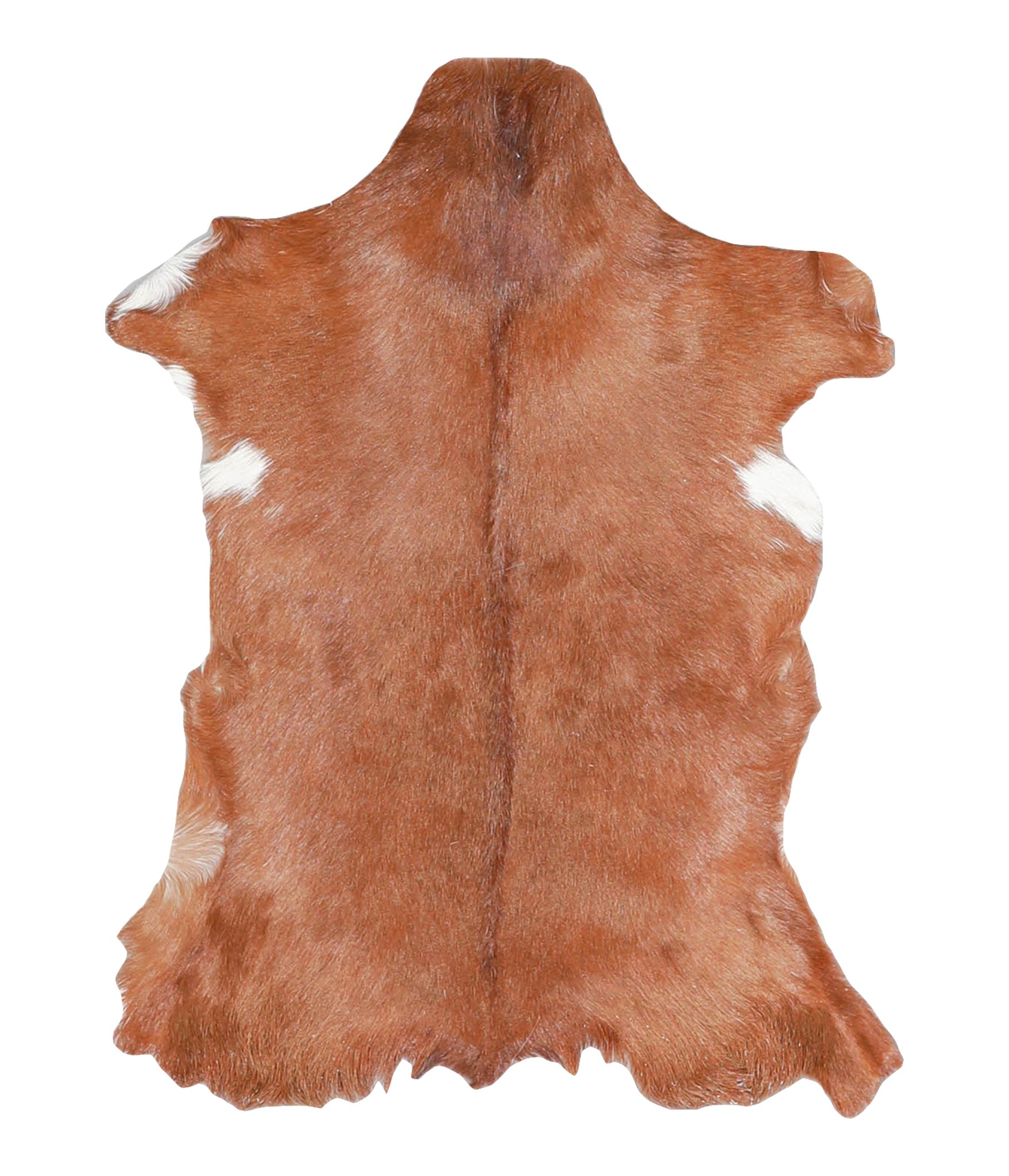 Goatskin #A27916