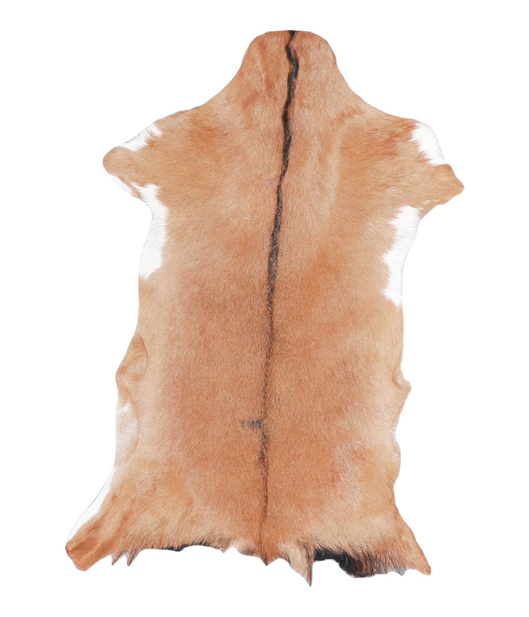 Goatskin #A27920