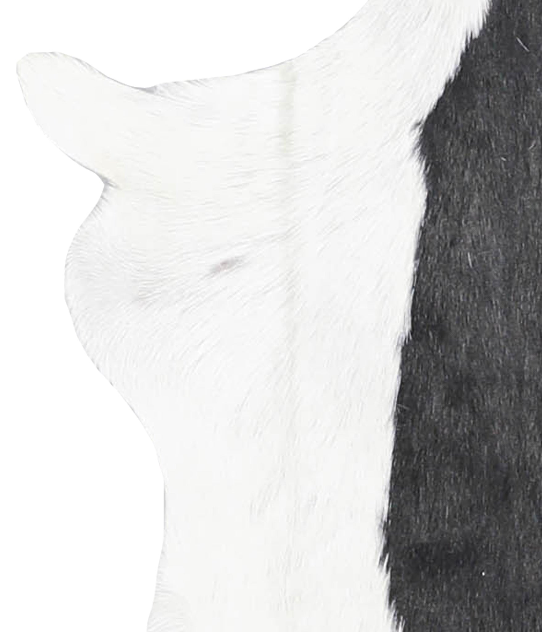 Goatskin #A27938