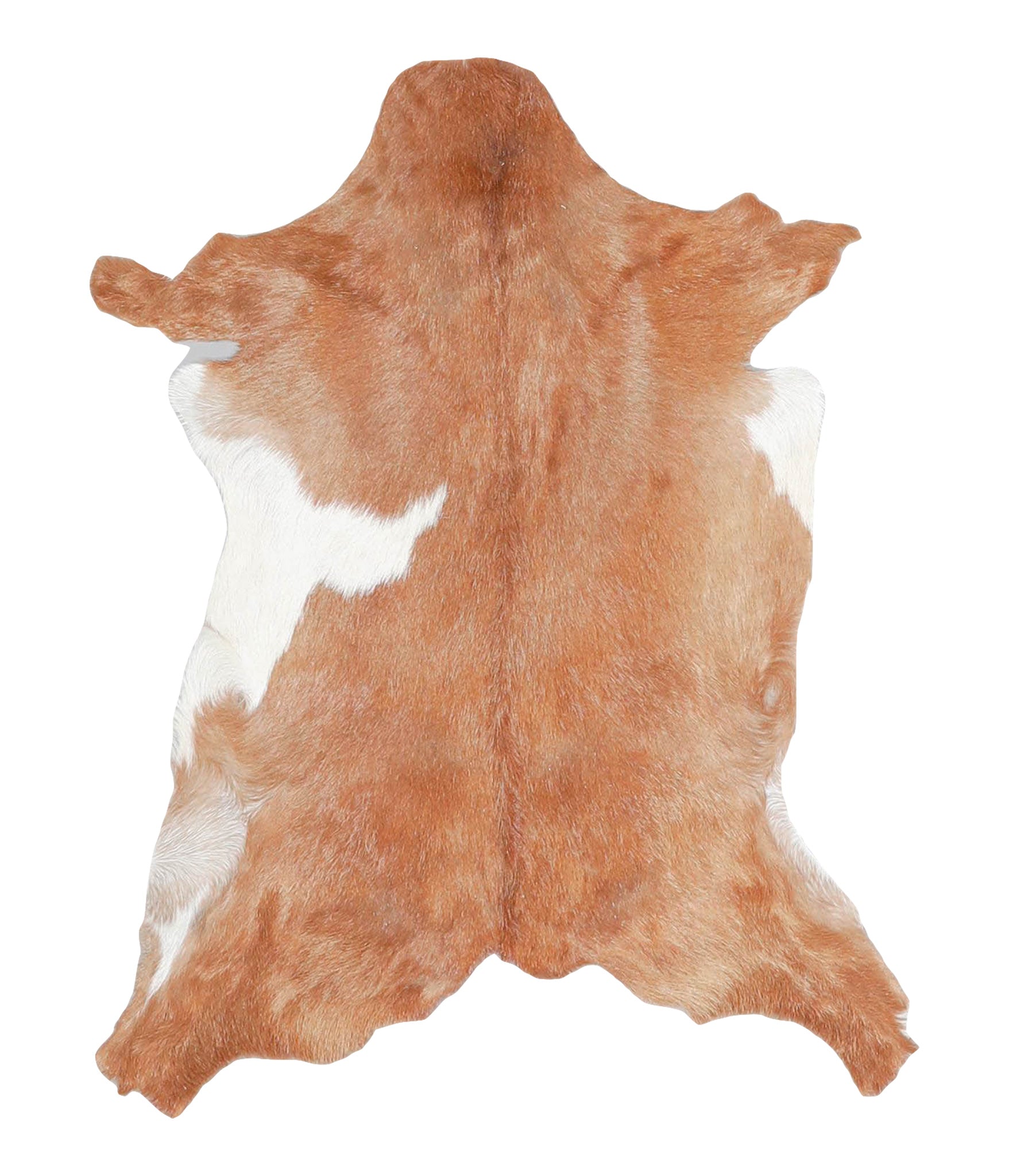 Goatskin #A27967