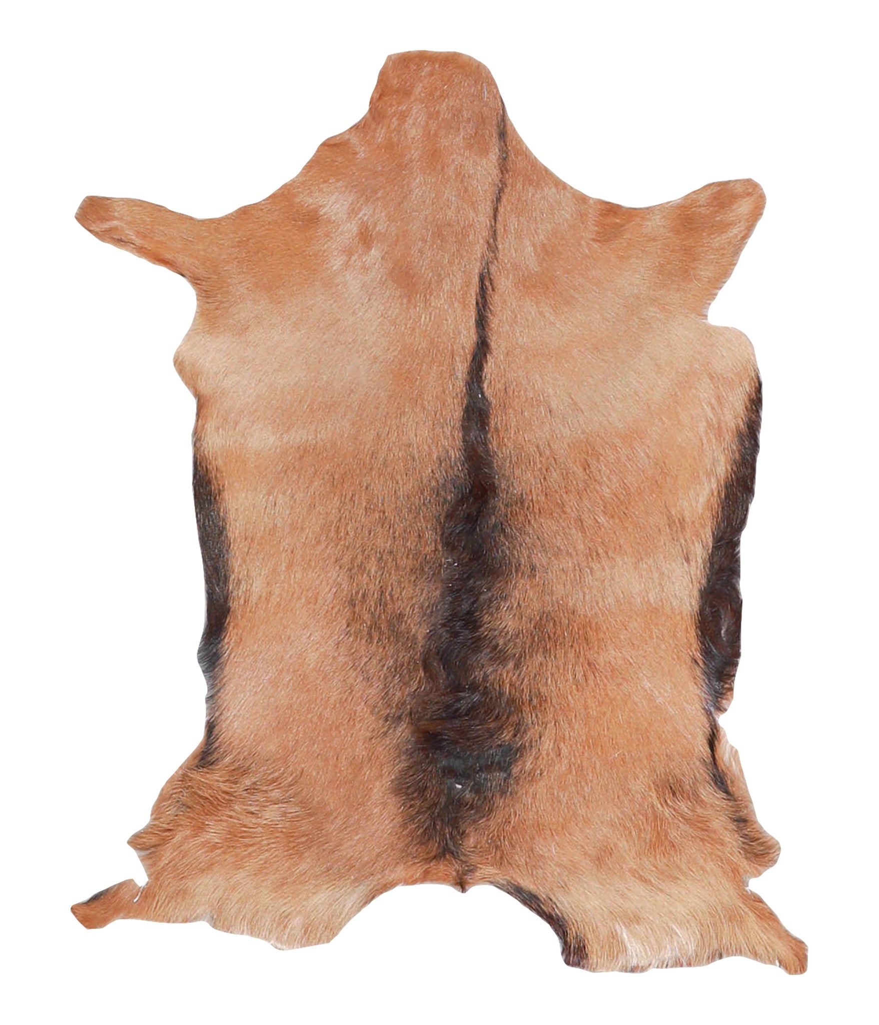 Goatskin #A28031