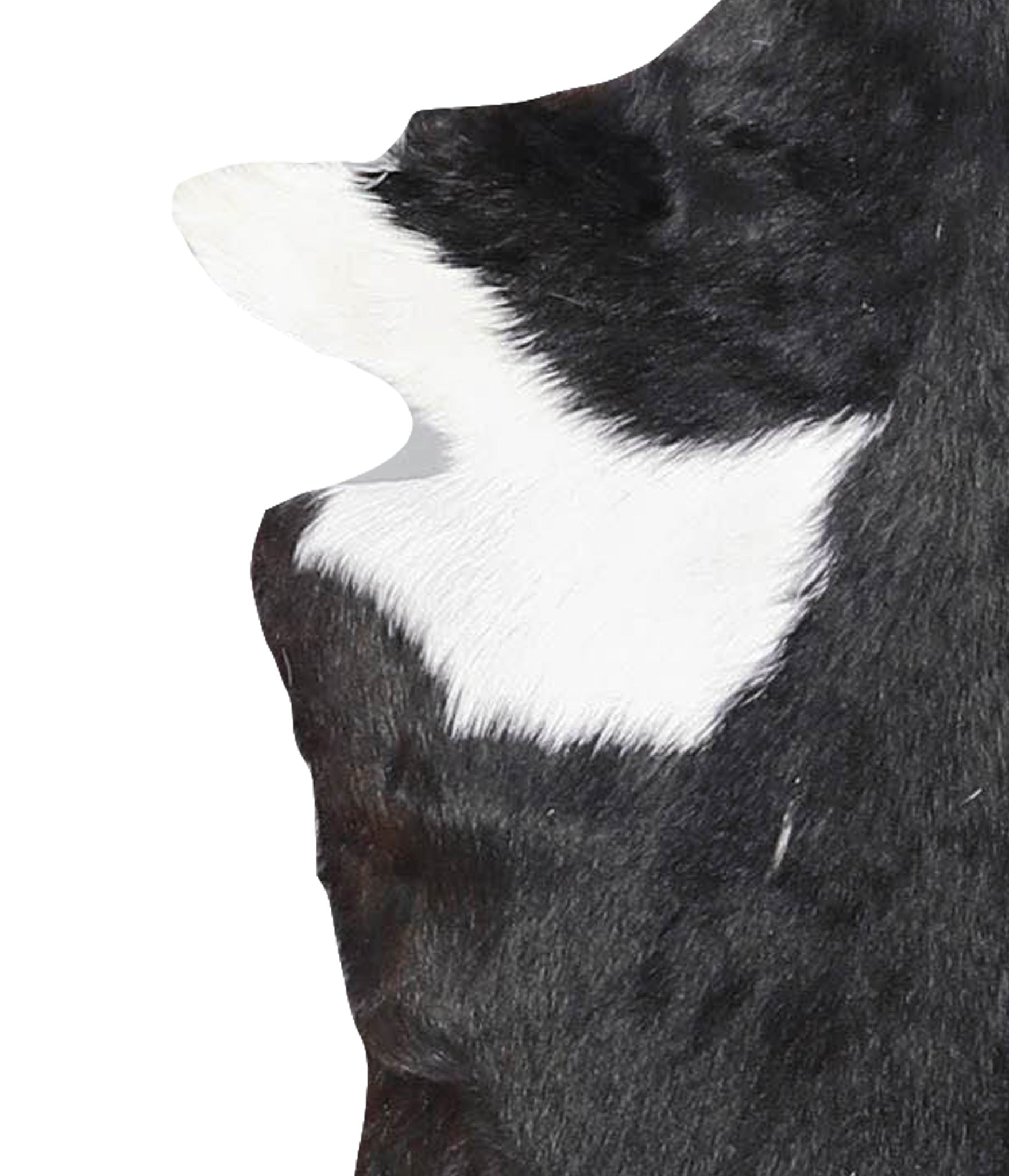 Goatskin #A28067