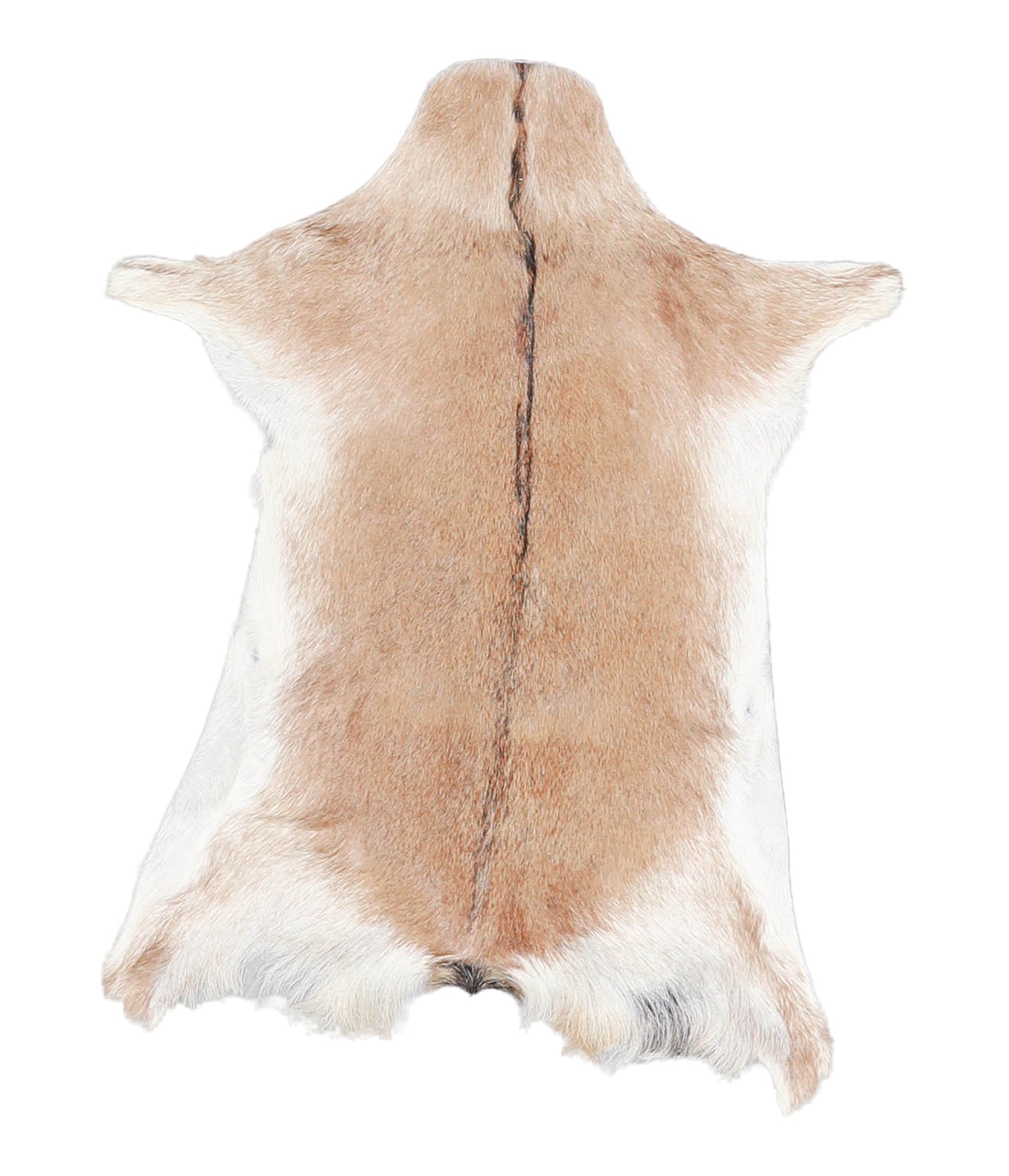 Goatskin #A28086