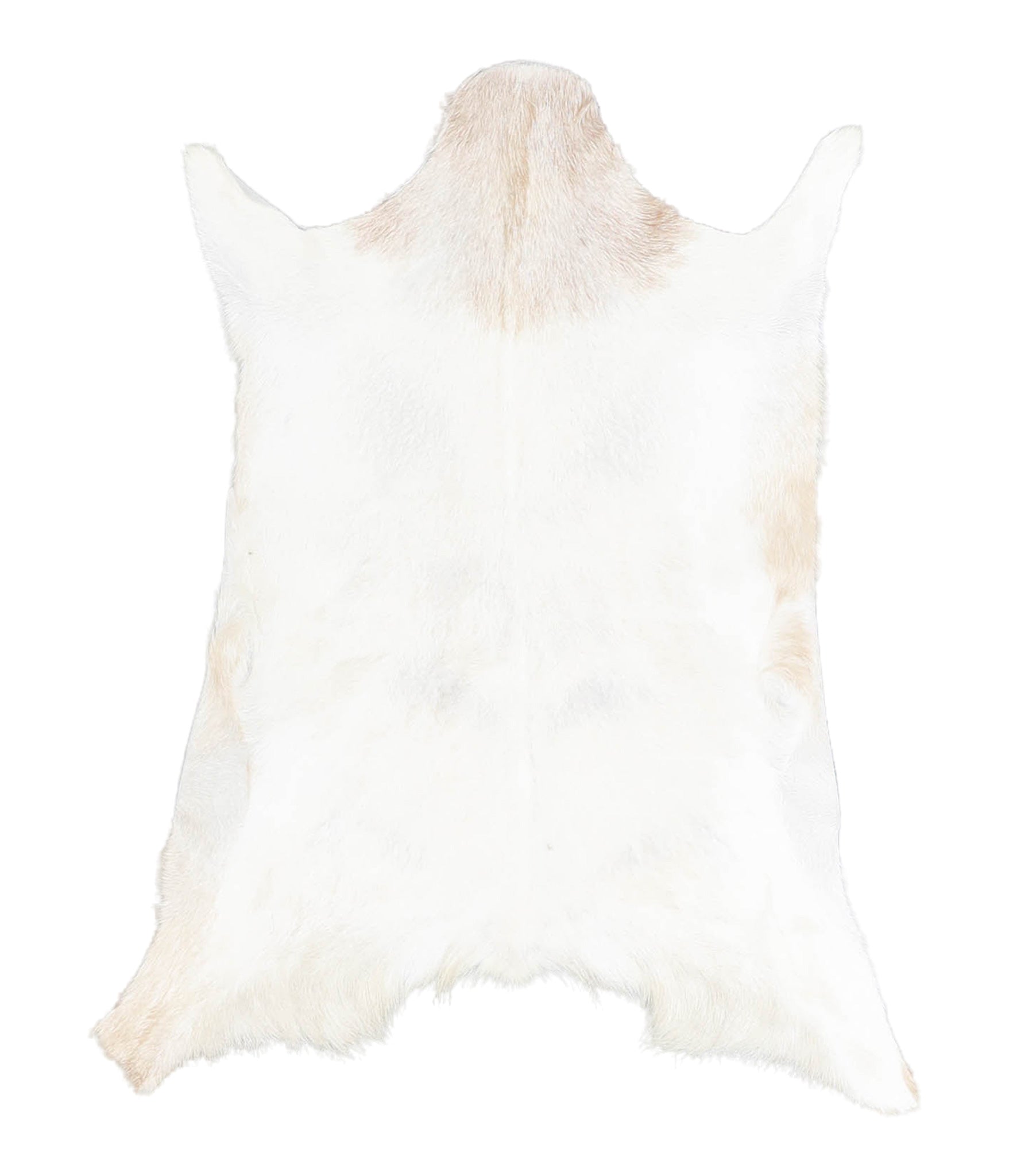 Goatskin #A28090