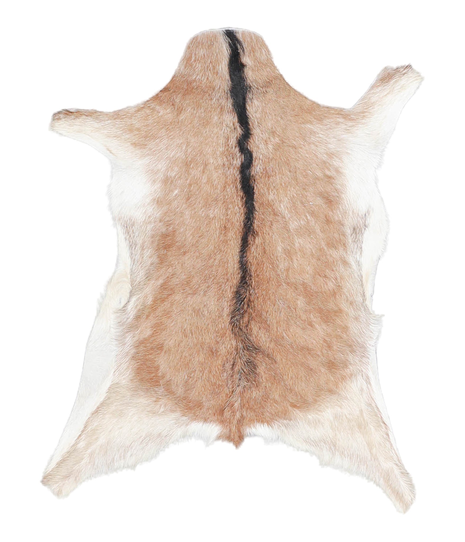 Goatskin #A28104