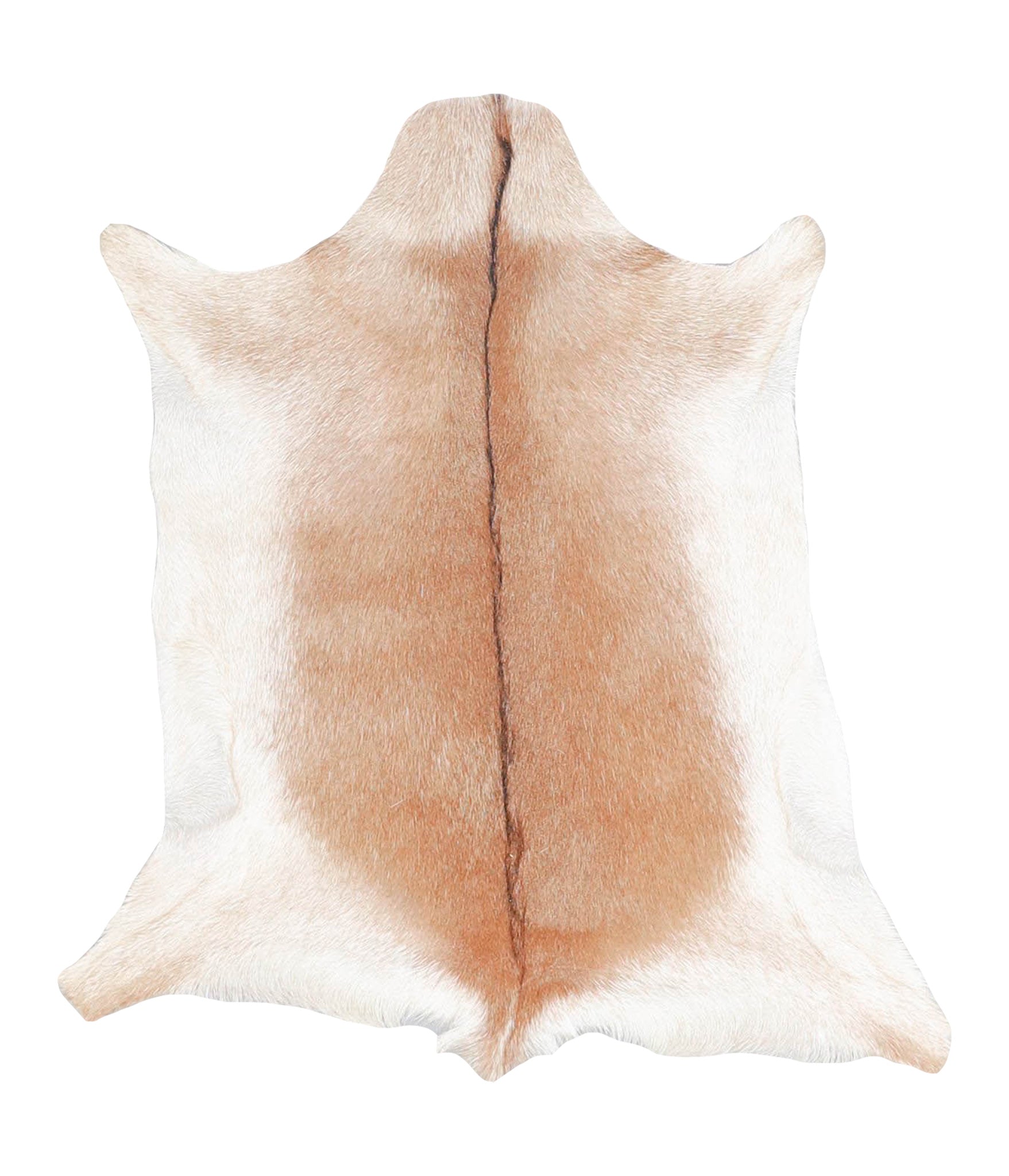 Goatskin #A28106