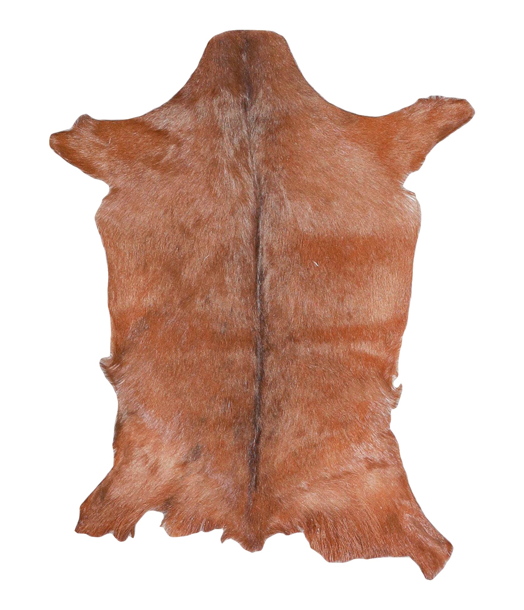 Goatskin #A28138