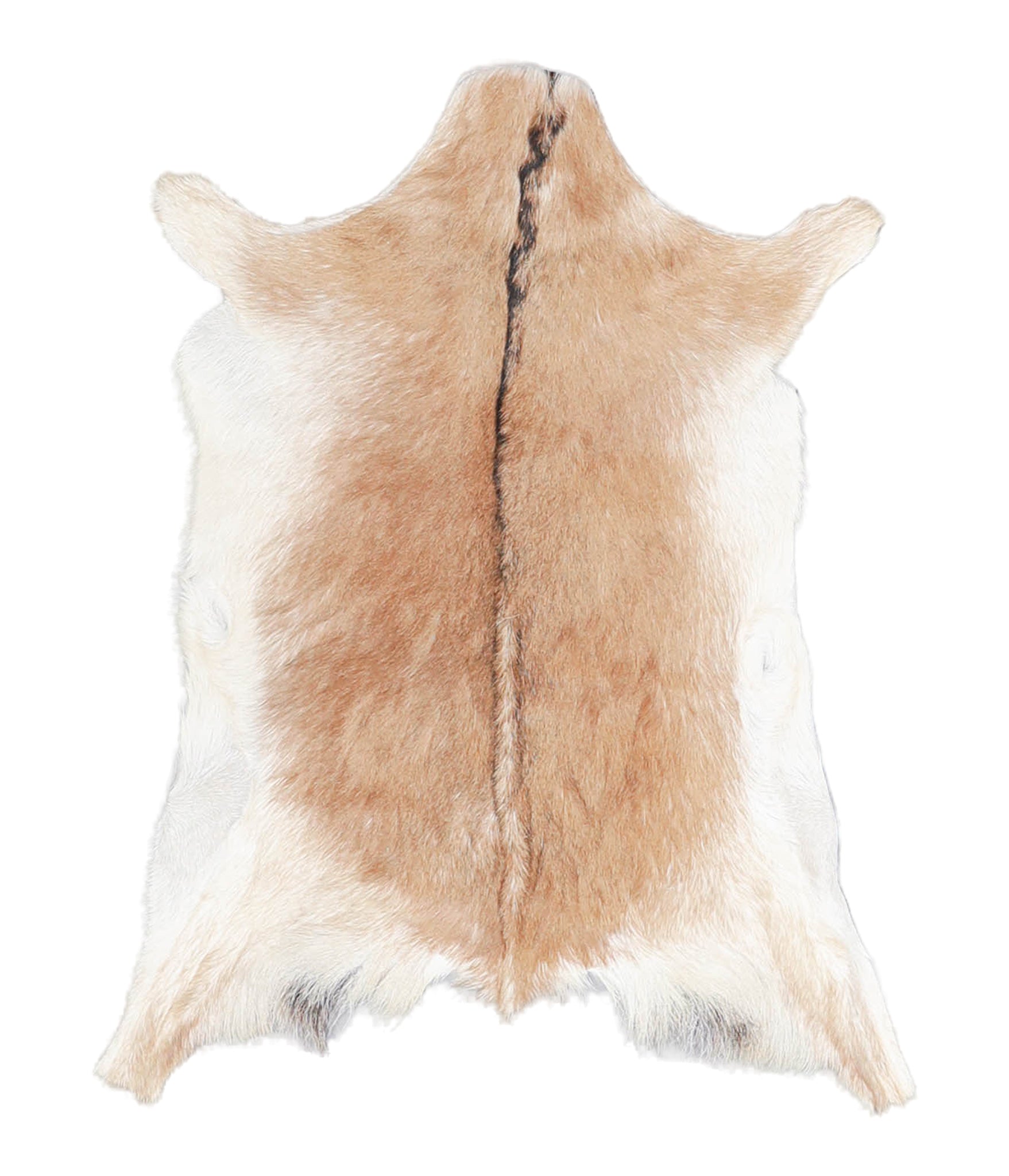 Goatskin #A28142