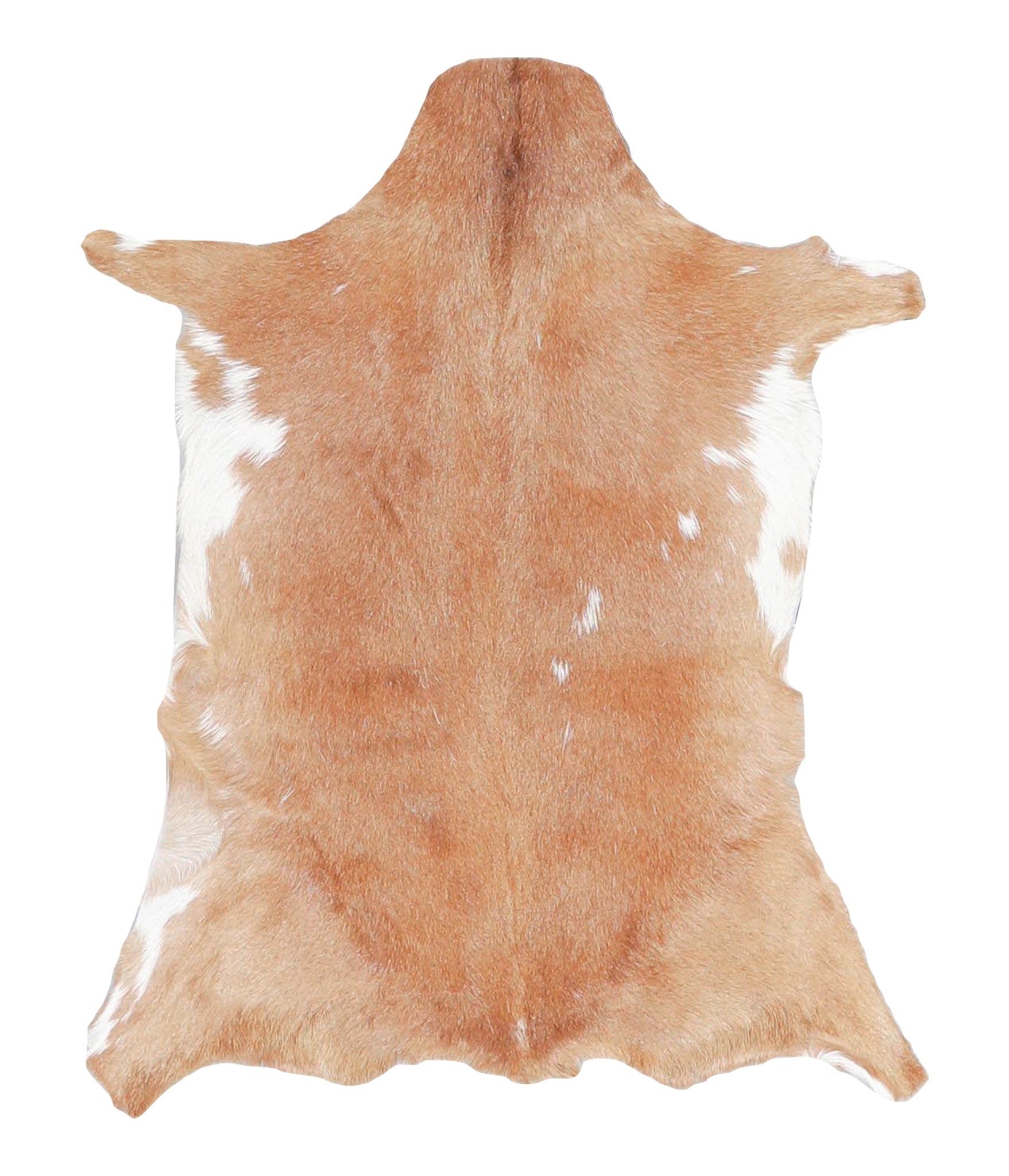 Goatskin #A28143