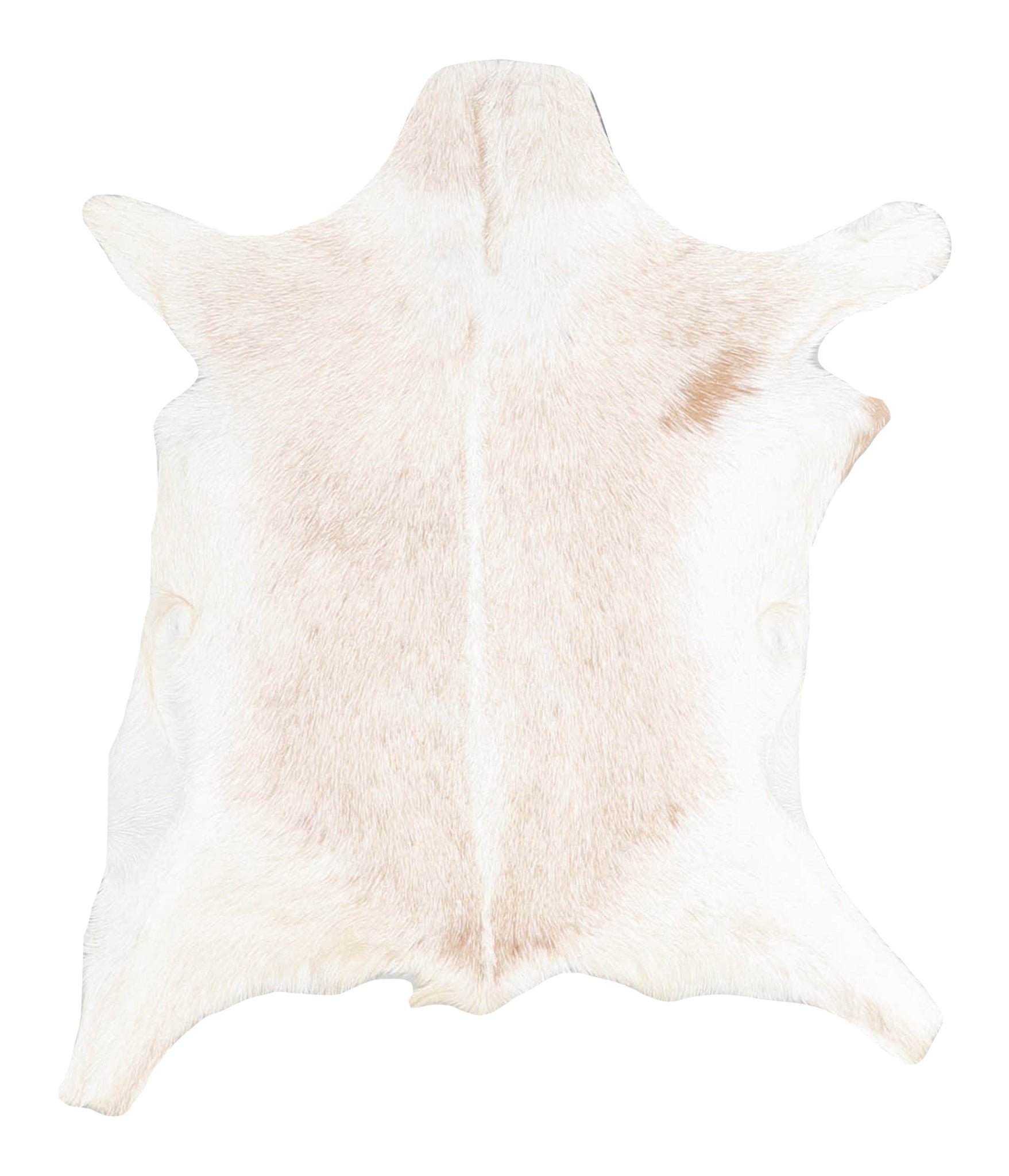 Goatskin #A28145